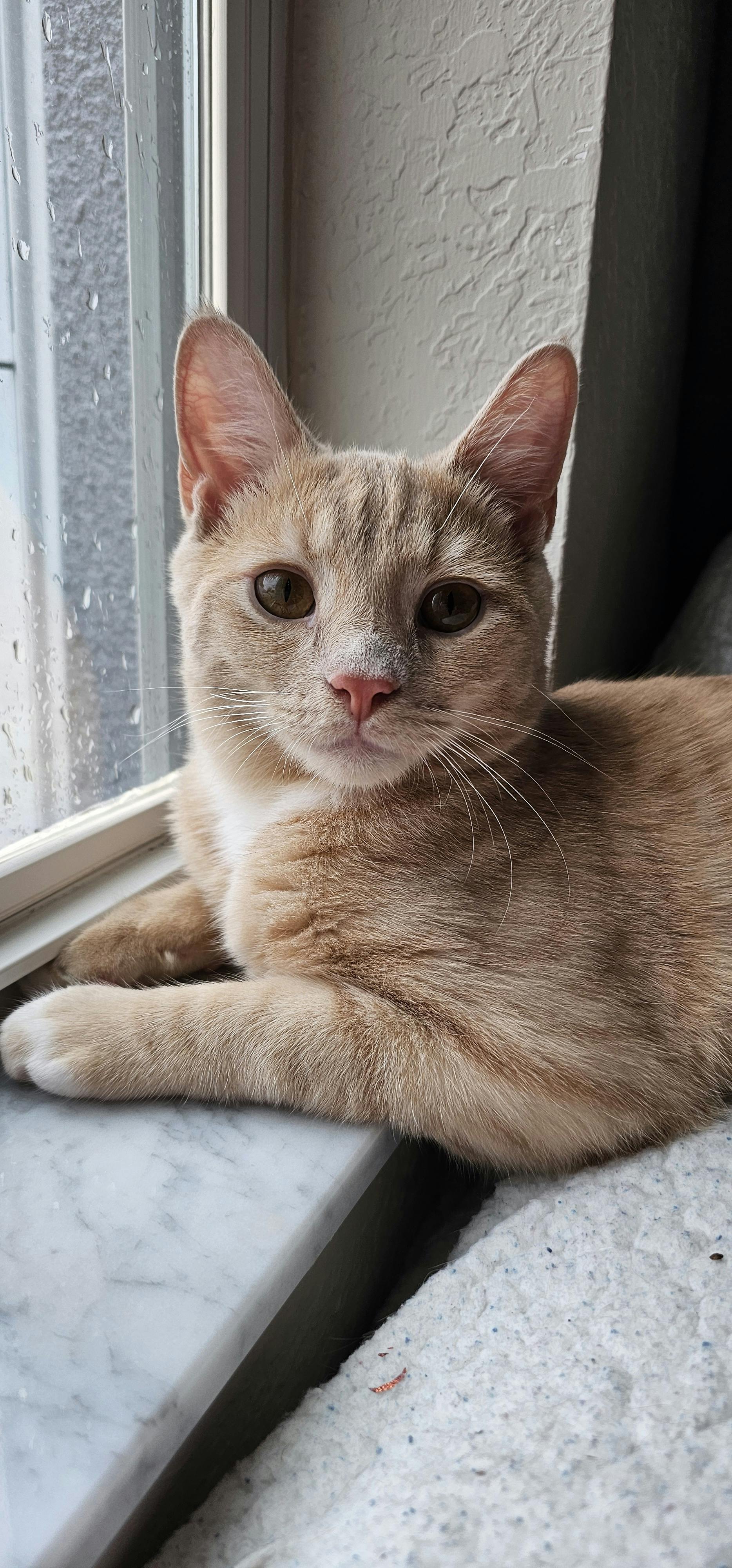 user avatar image for Valerie Martin