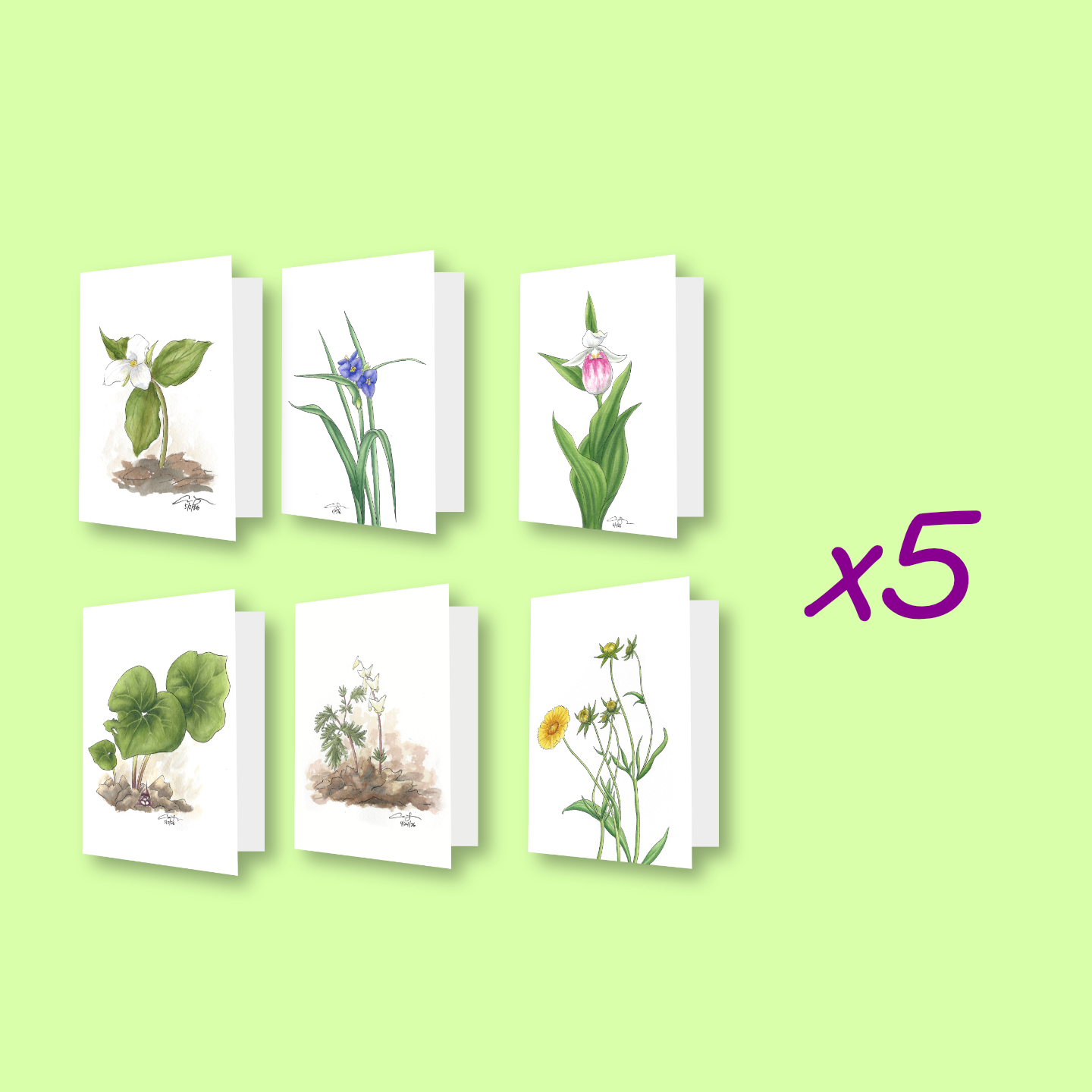 Greeting Card Complete Set x 5 (30 Cards)