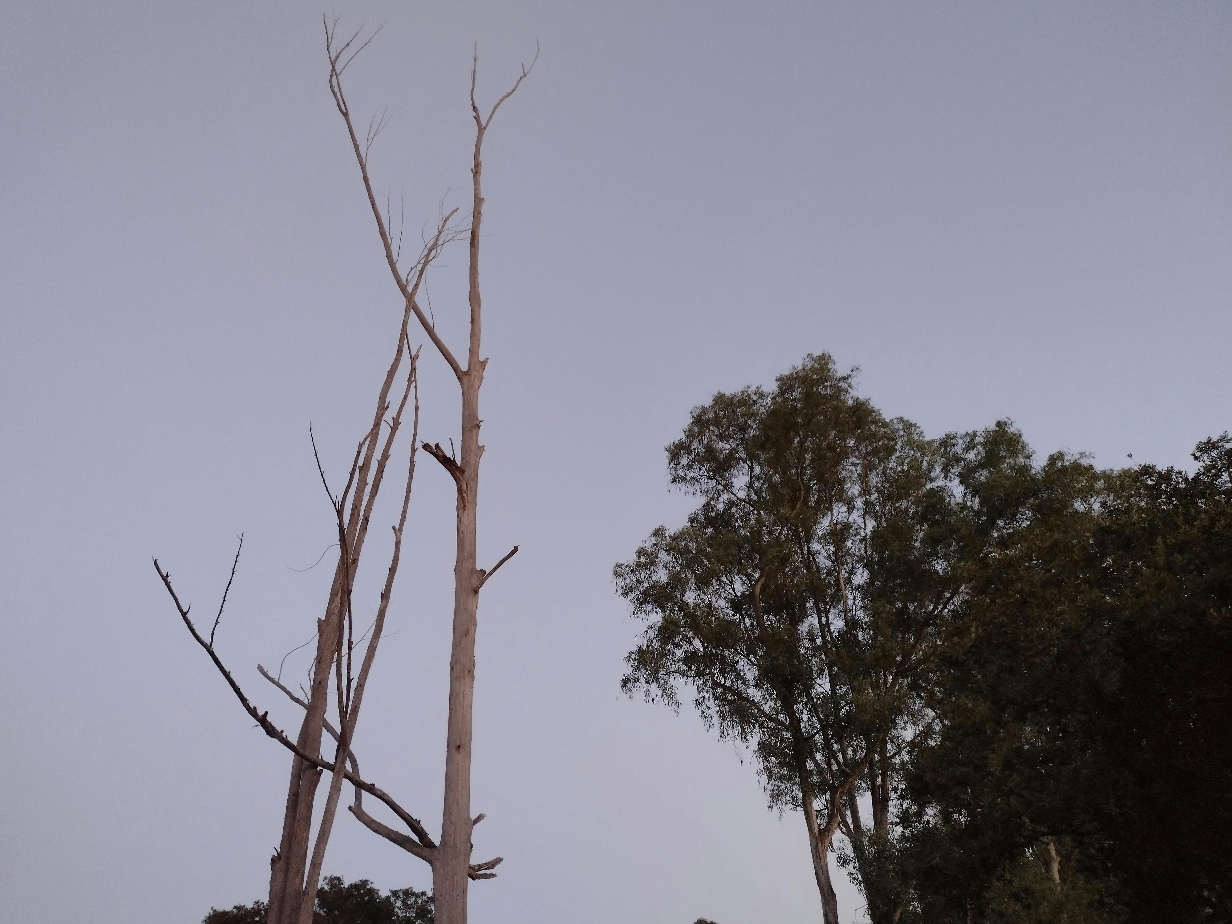 user avatar image for Harry