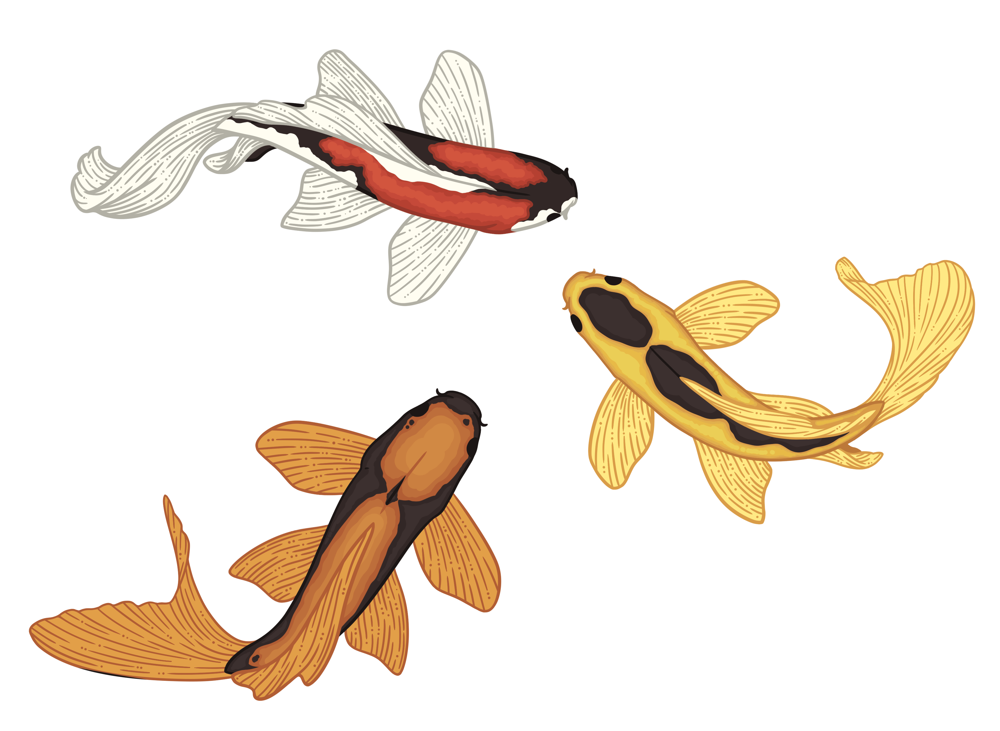 6" Triple Koi Fish Window Cling Sticker	