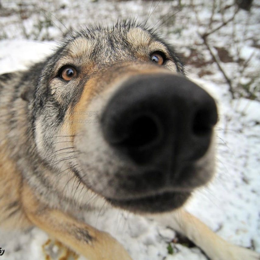 user avatar image for Mathias Dragomir