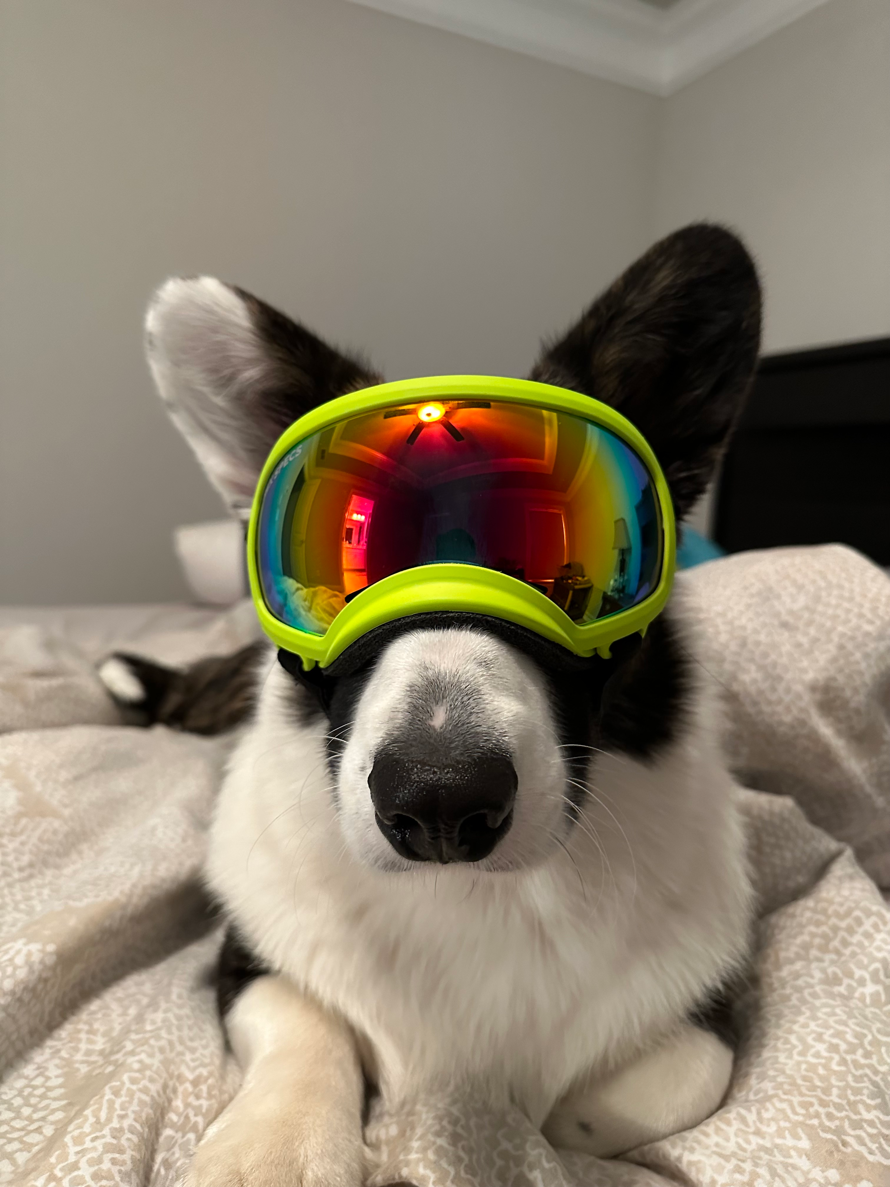 user avatar image for Tim