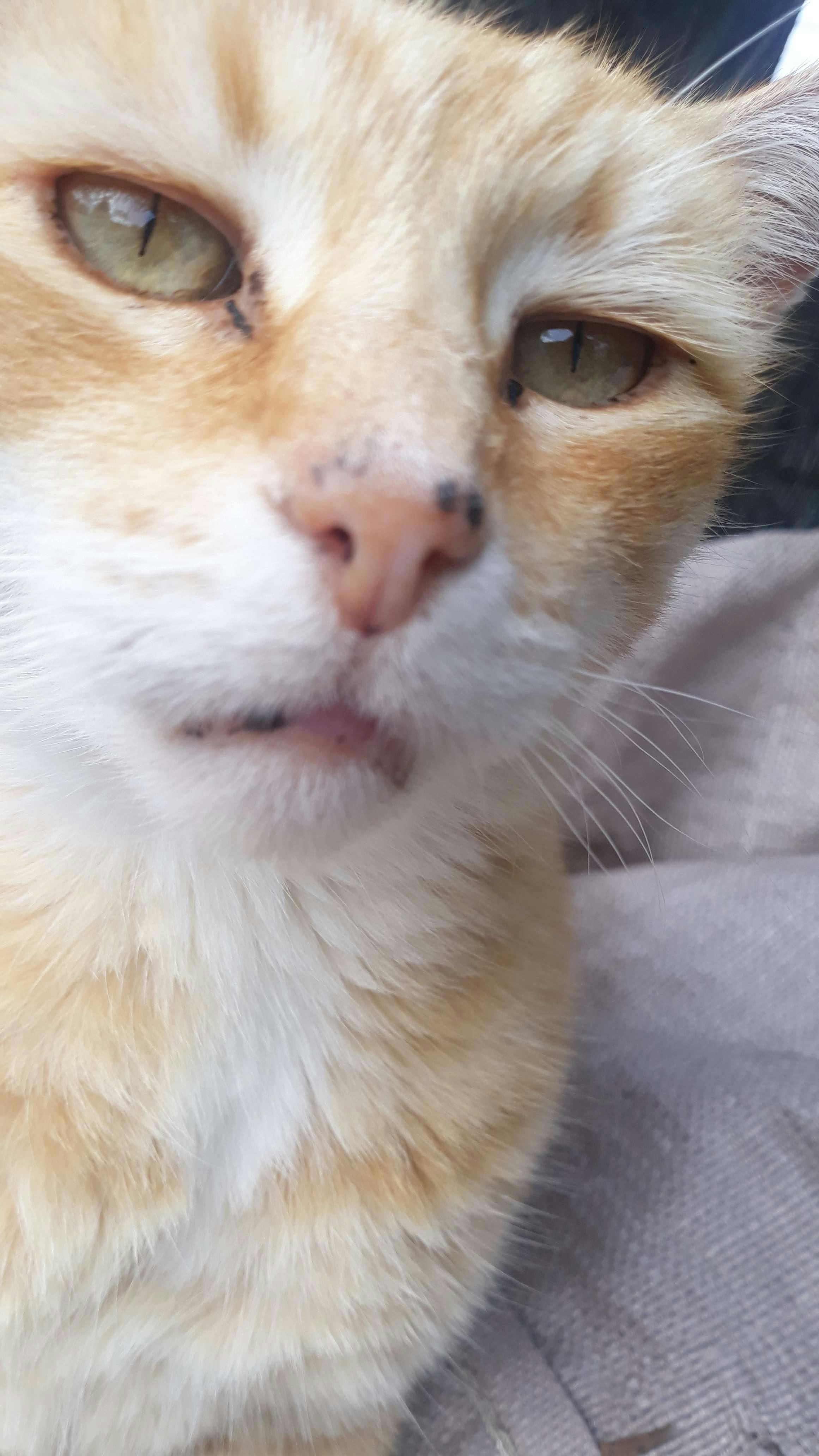 user avatar image for Thomas.G