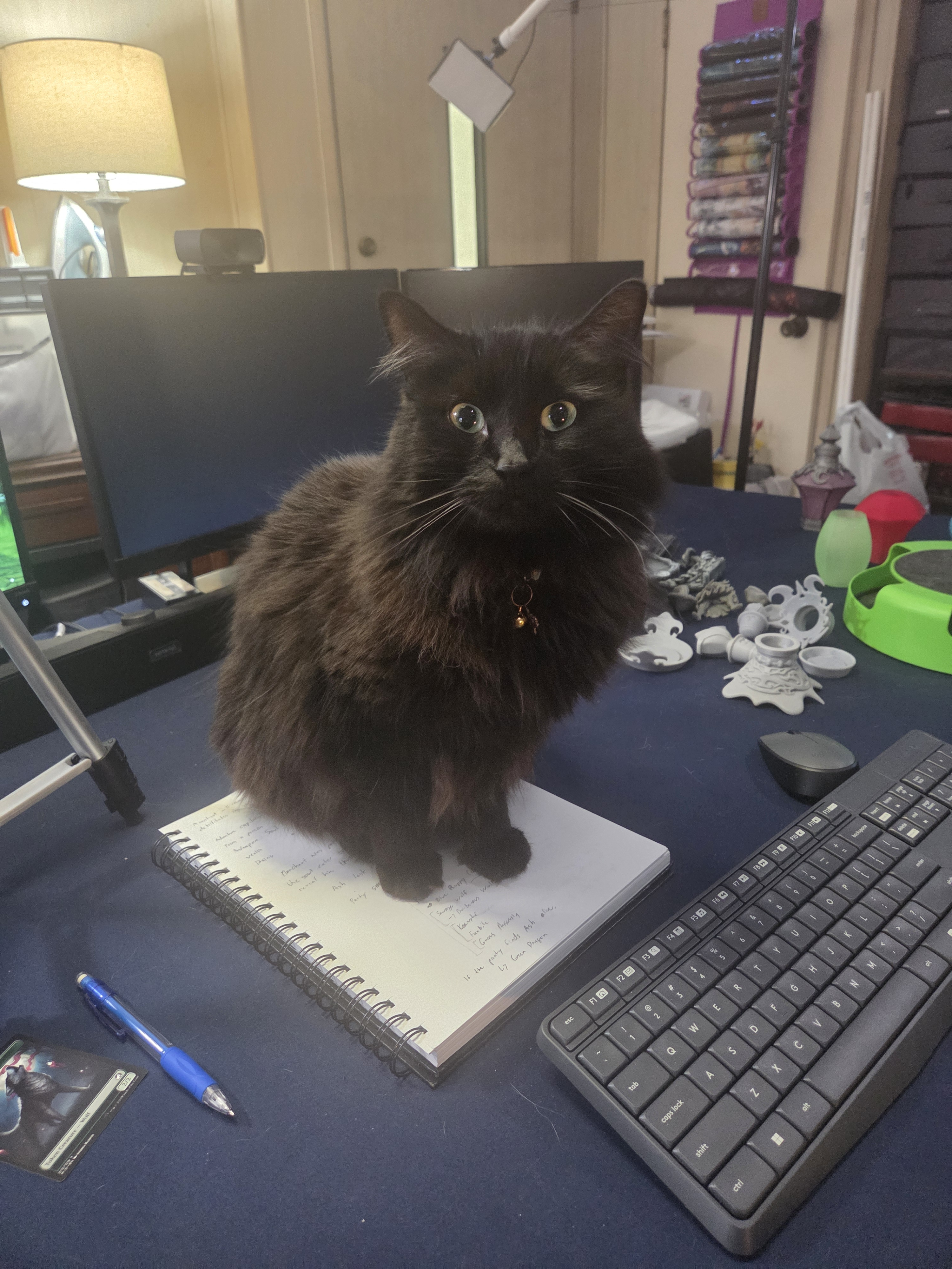 user avatar image for MsMinis&Miscellany