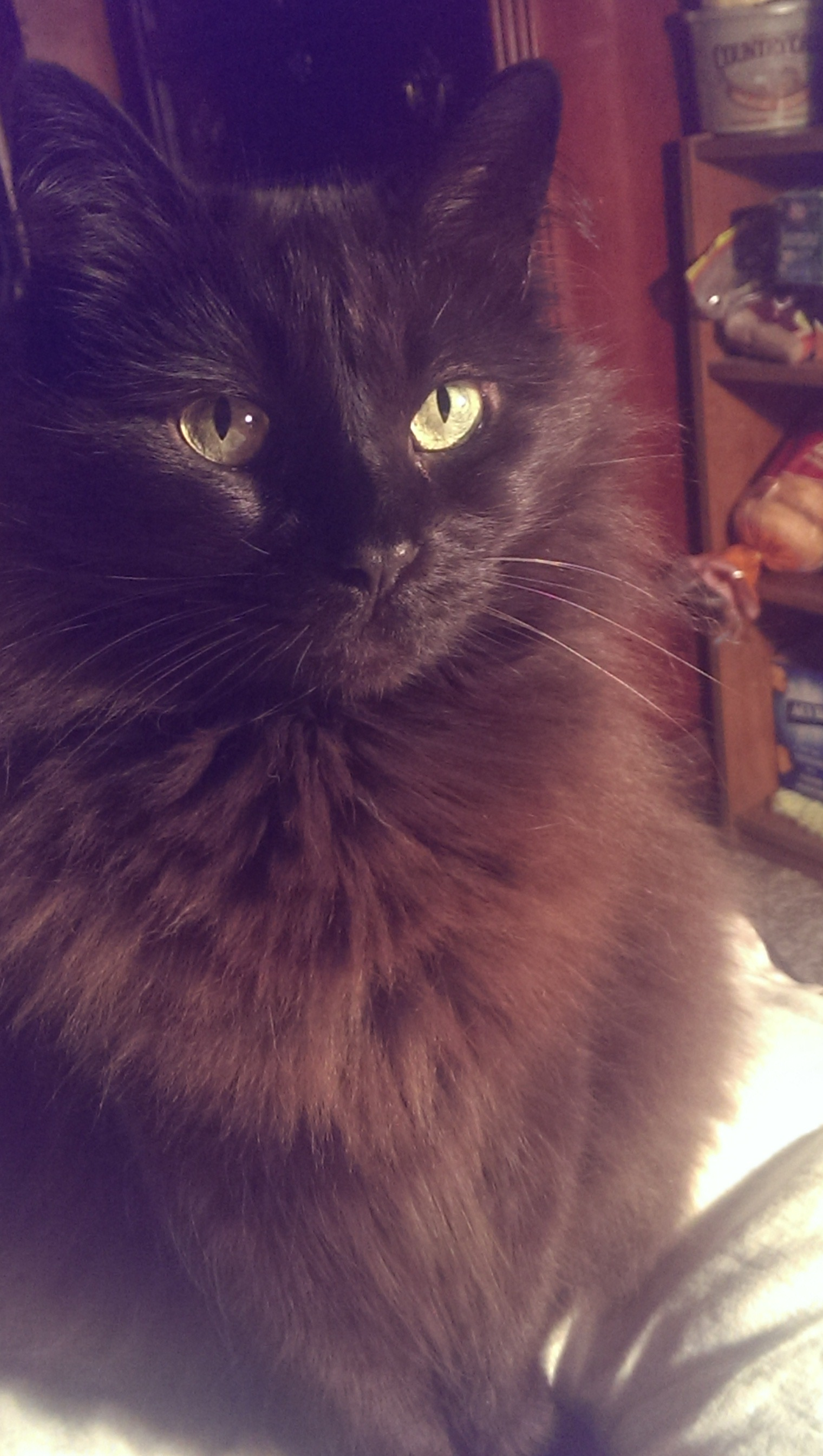 user avatar image for Sara VanNorman