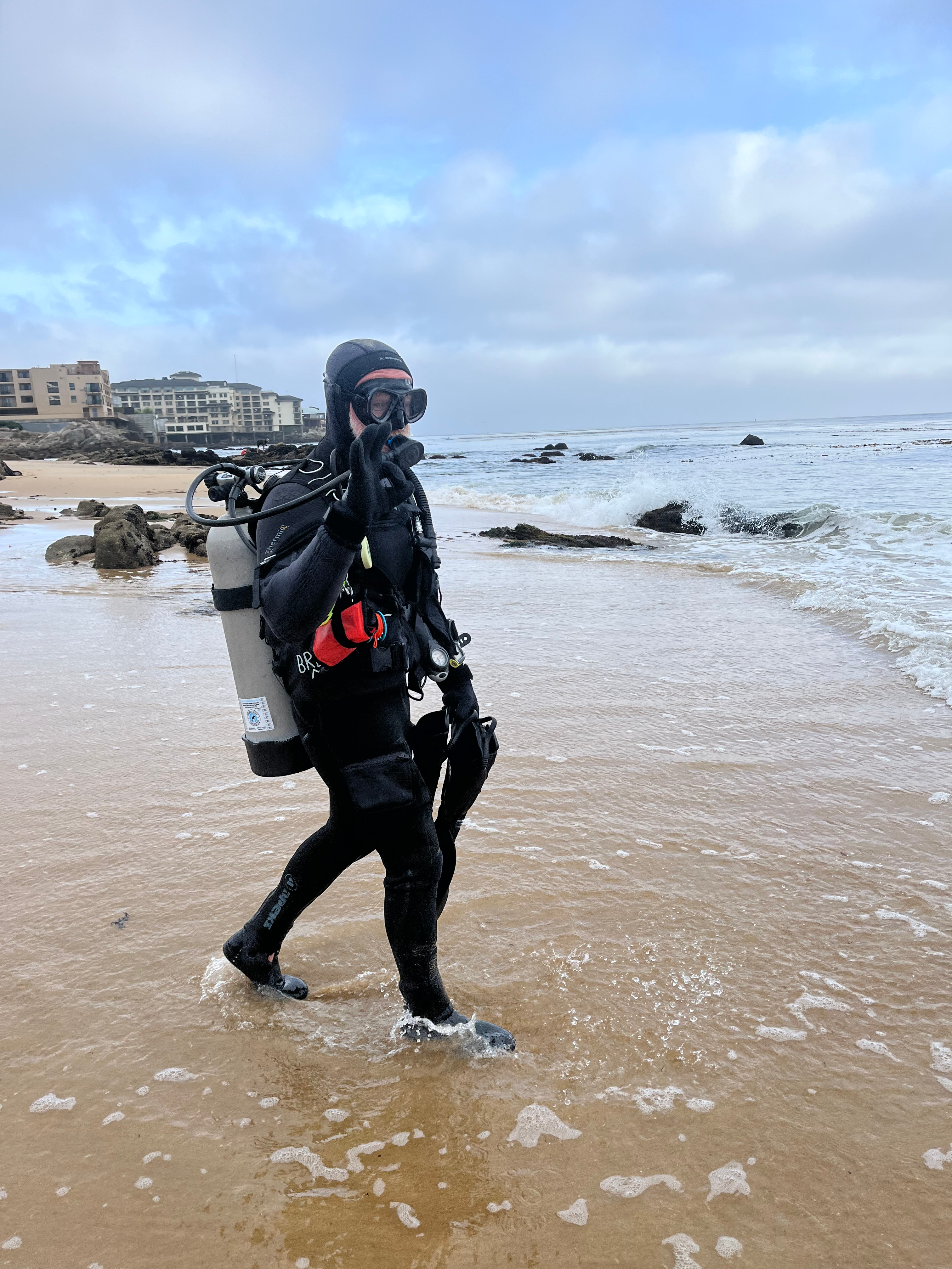 user avatar image for BG