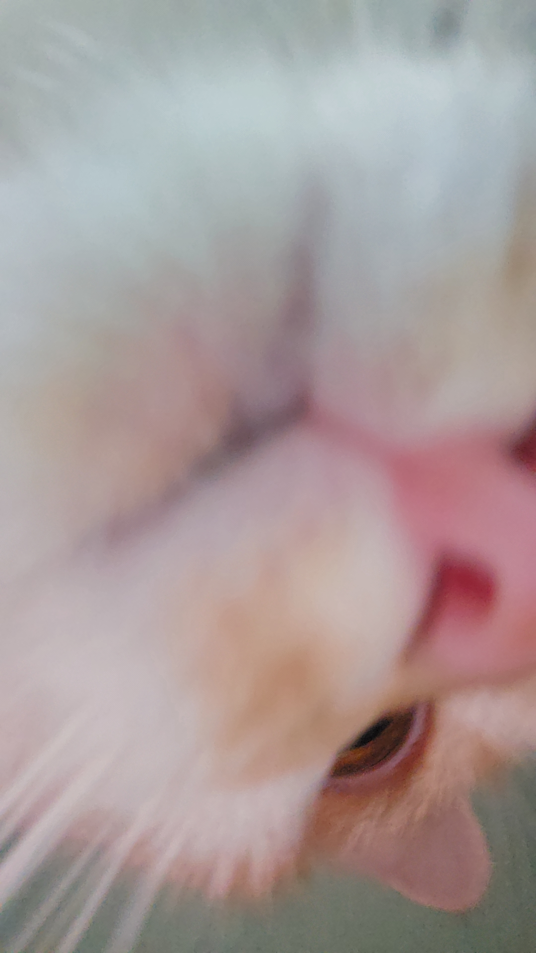 user avatar image for Rhys