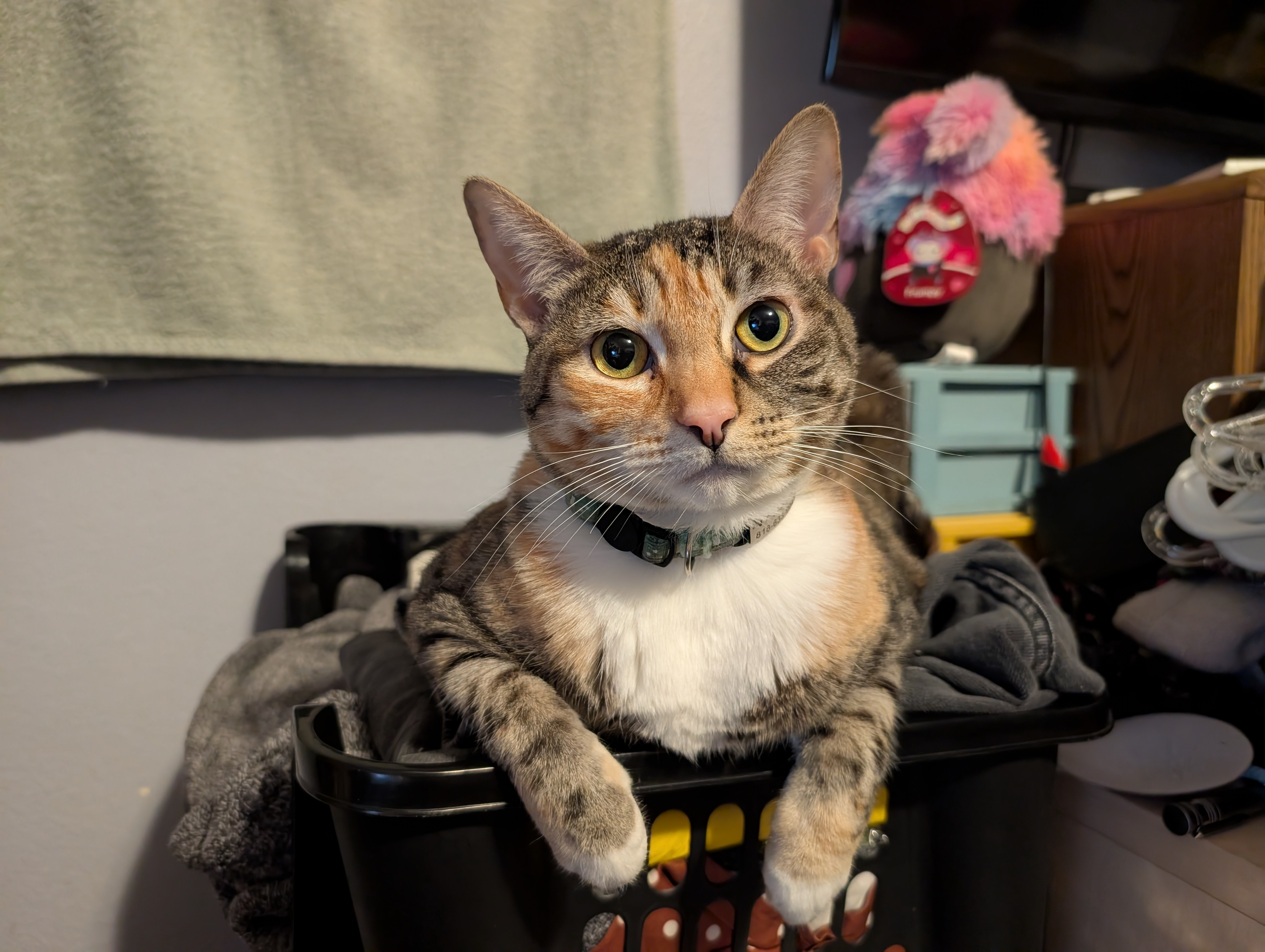 user avatar image for Justine