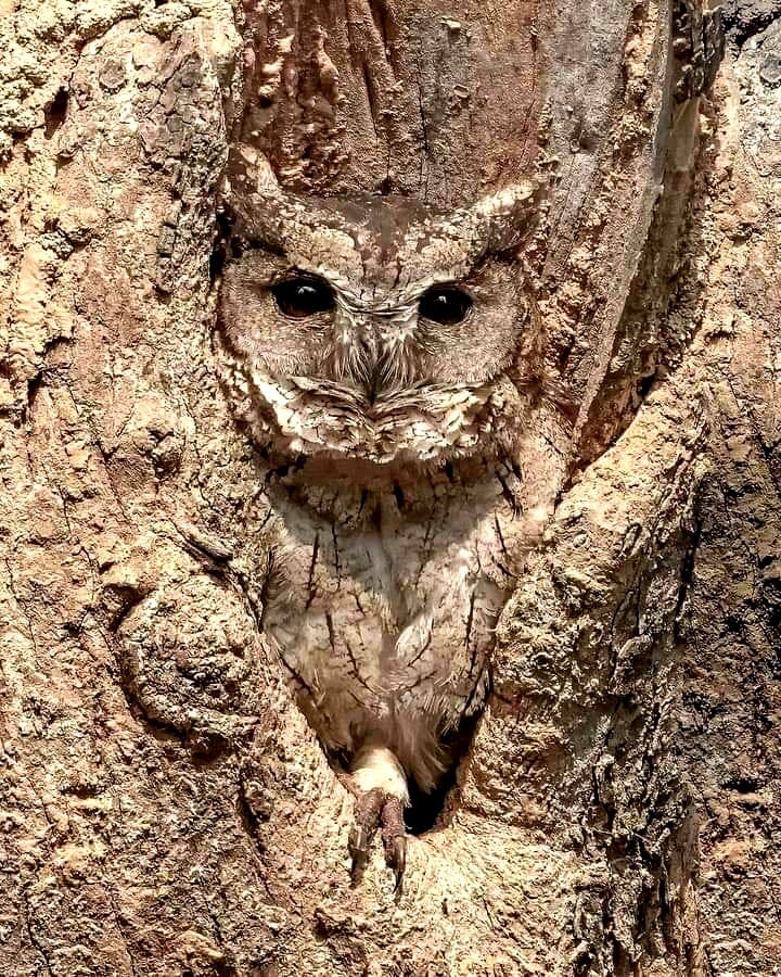 user avatar image for &lexH523