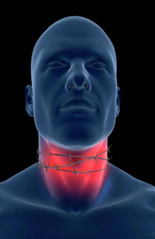 user avatar image for gurveen