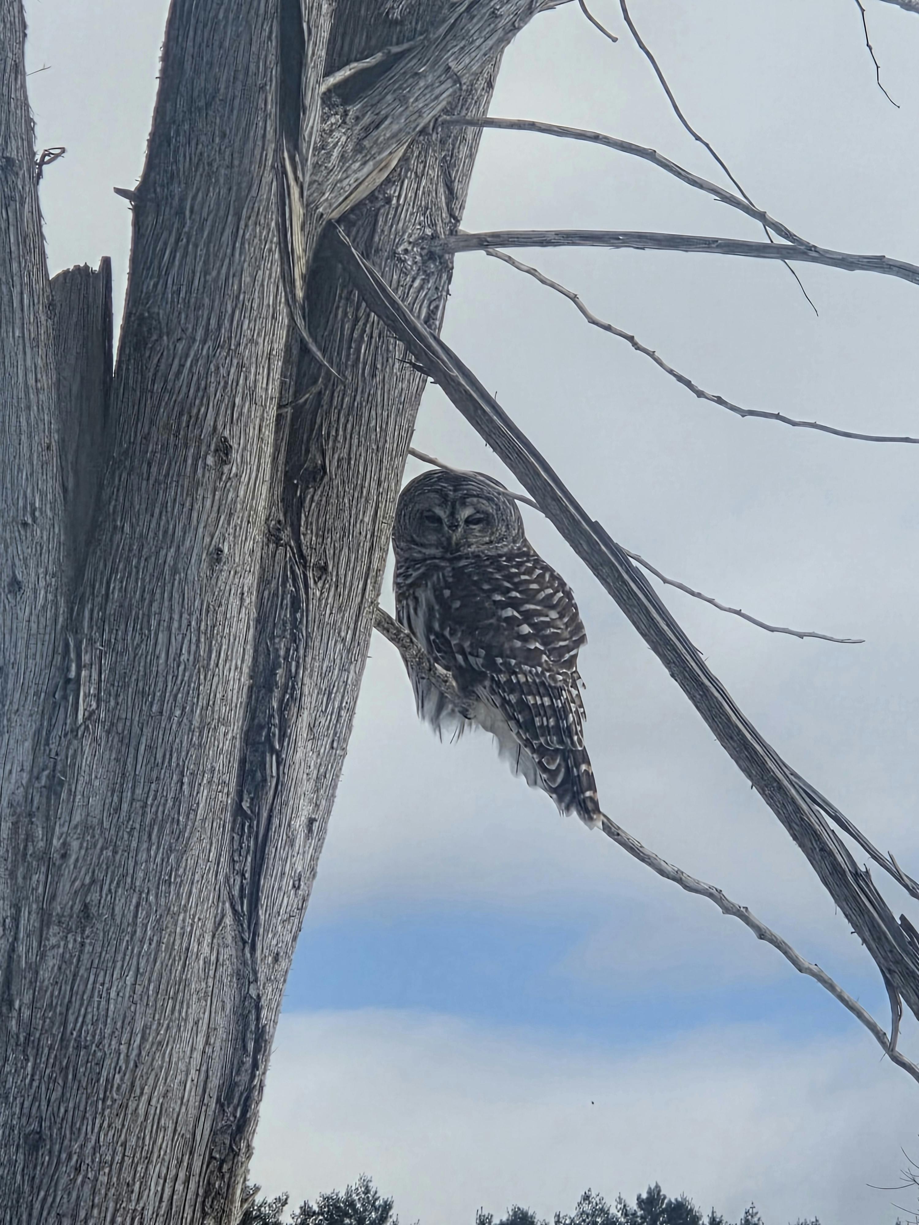 user avatar image for Raven