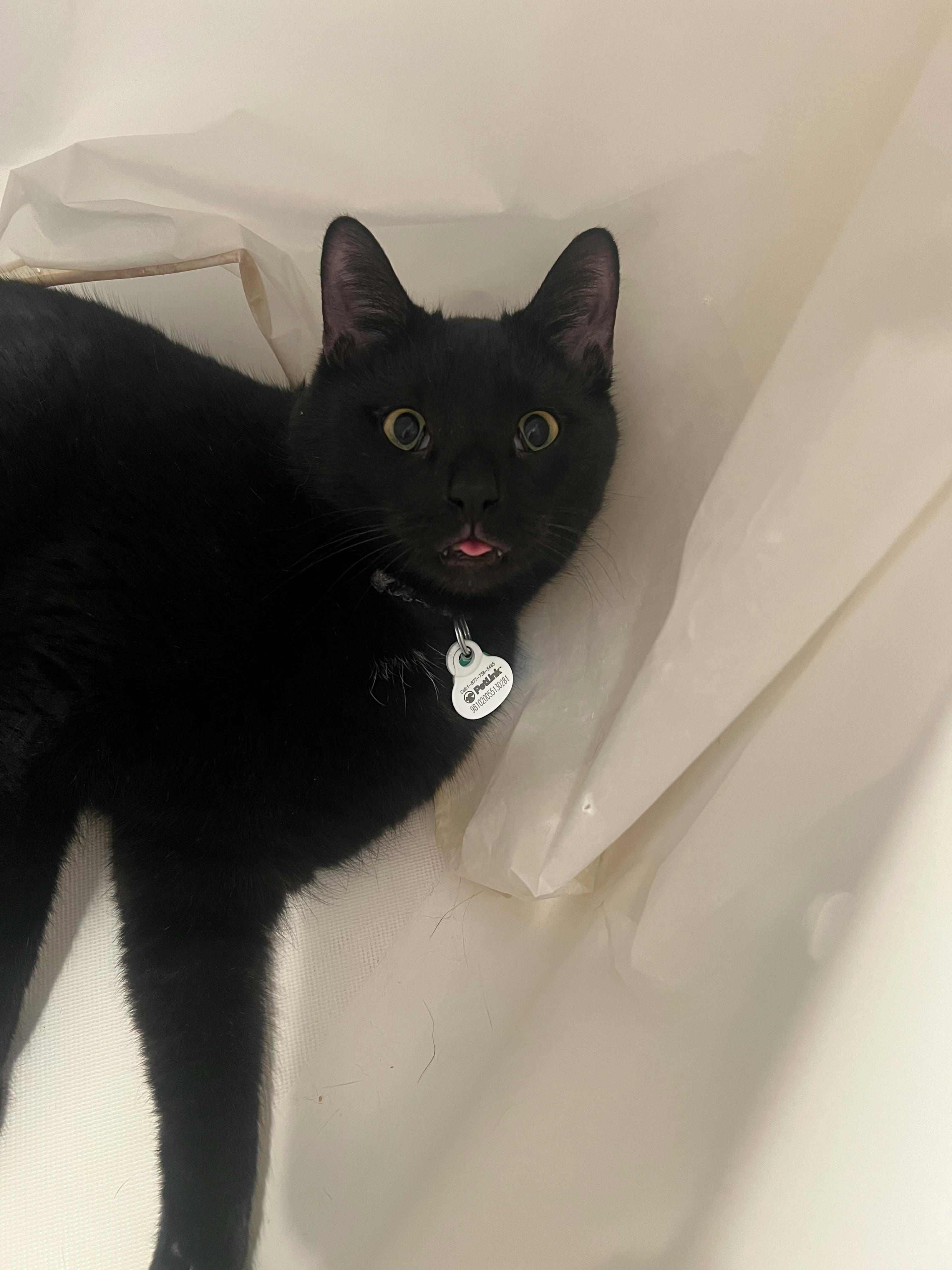 user avatar image for Evan and Breanna Reynolds