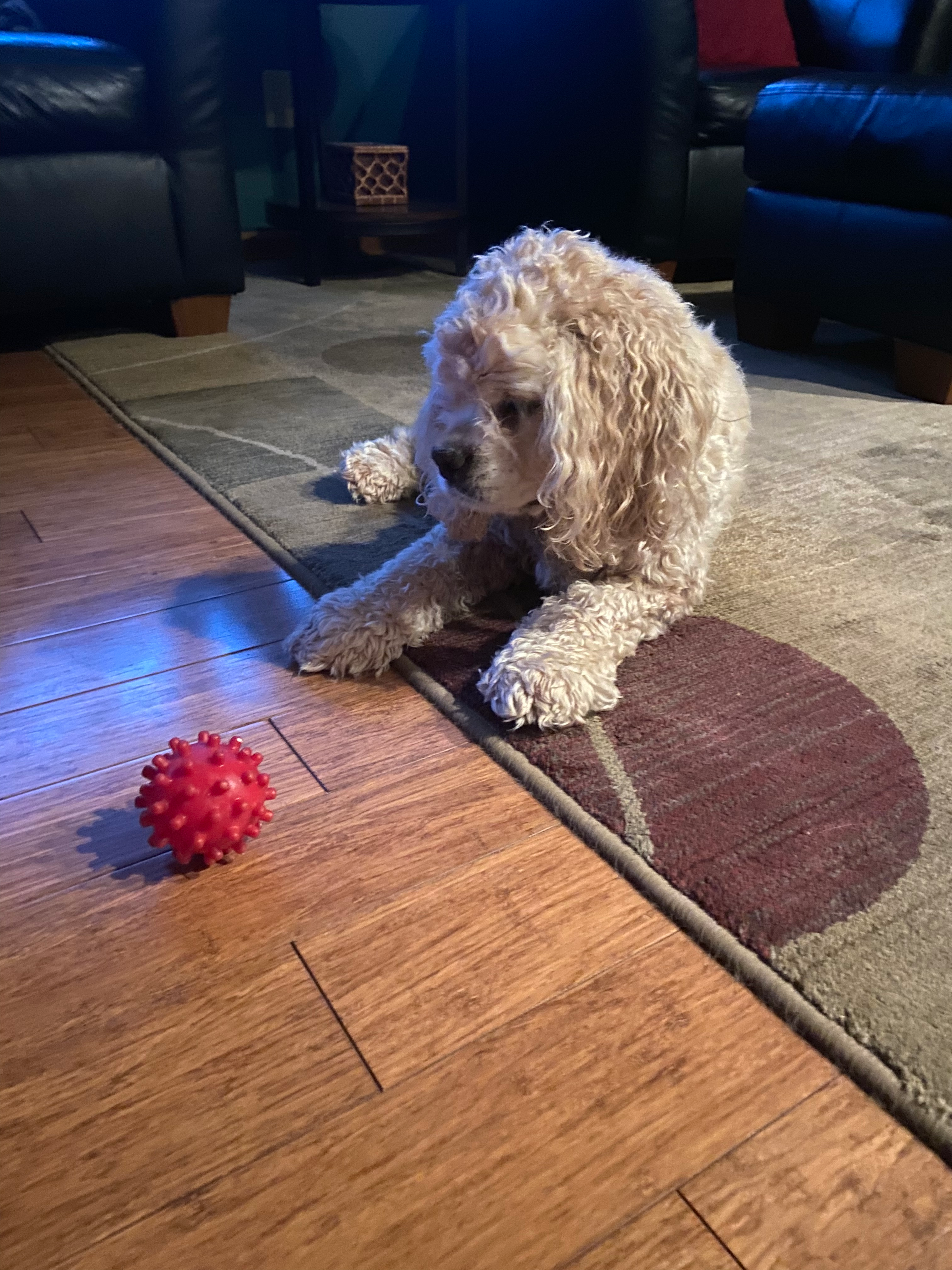 user avatar image for Jacob Chank