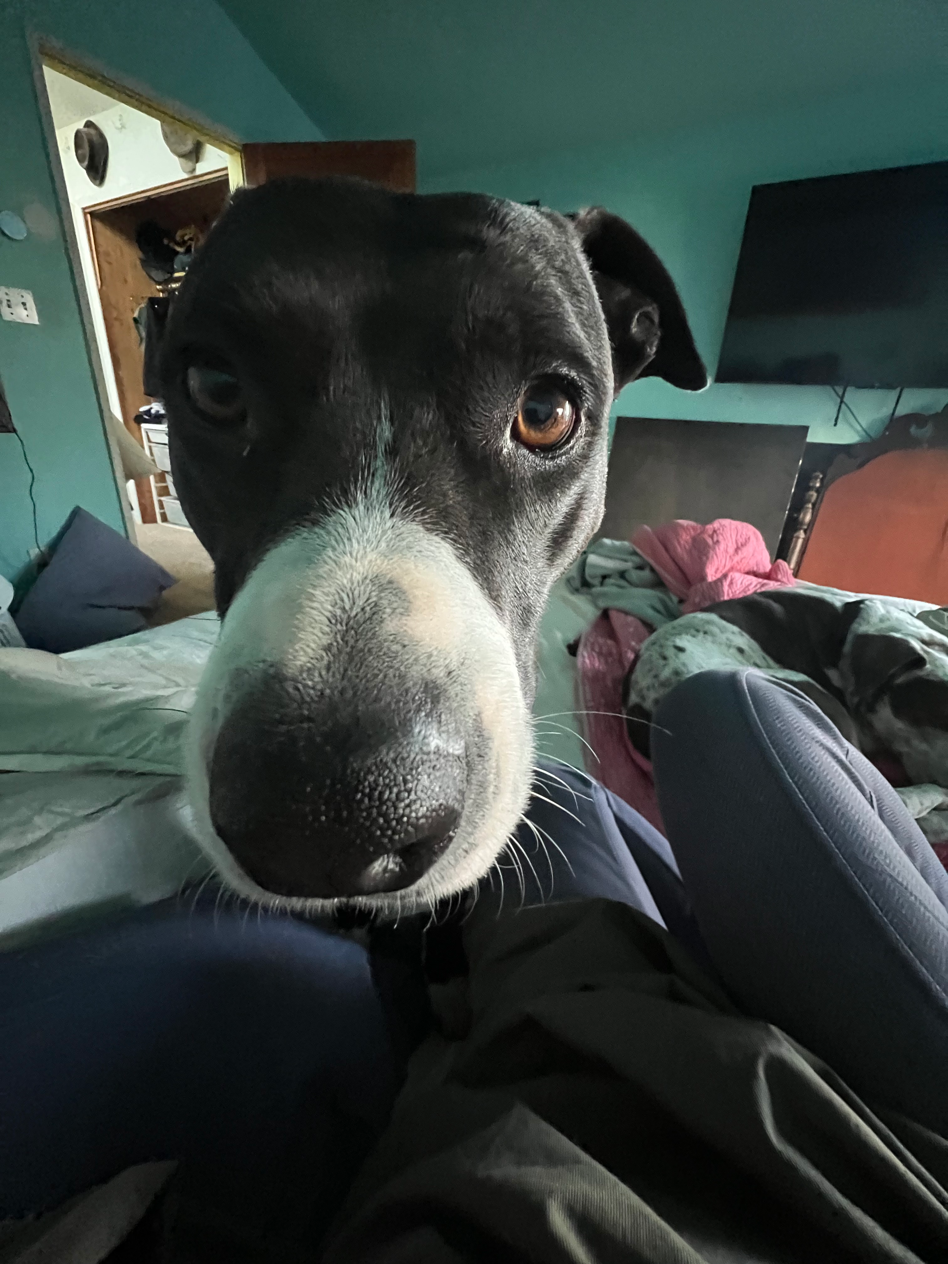 user avatar image for Satyavan Kepper