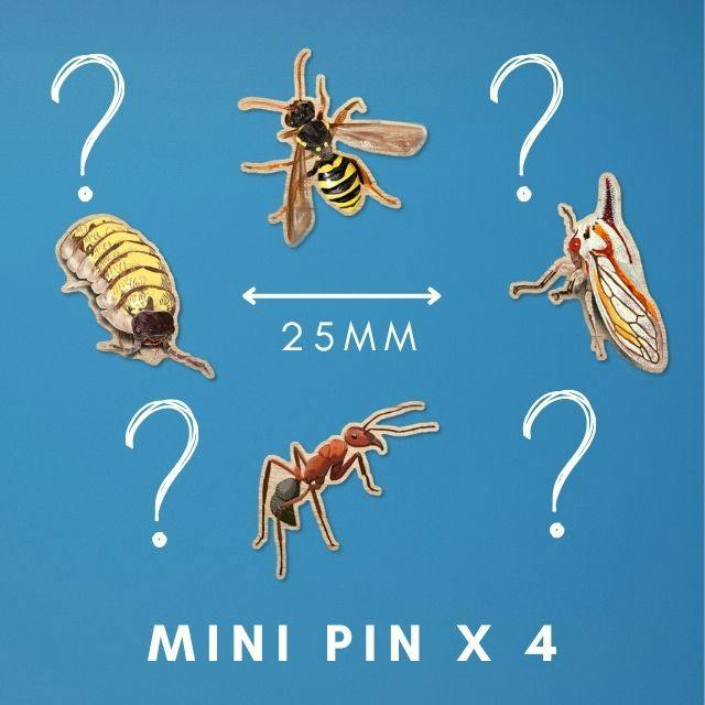4 Wooden Mini Pins