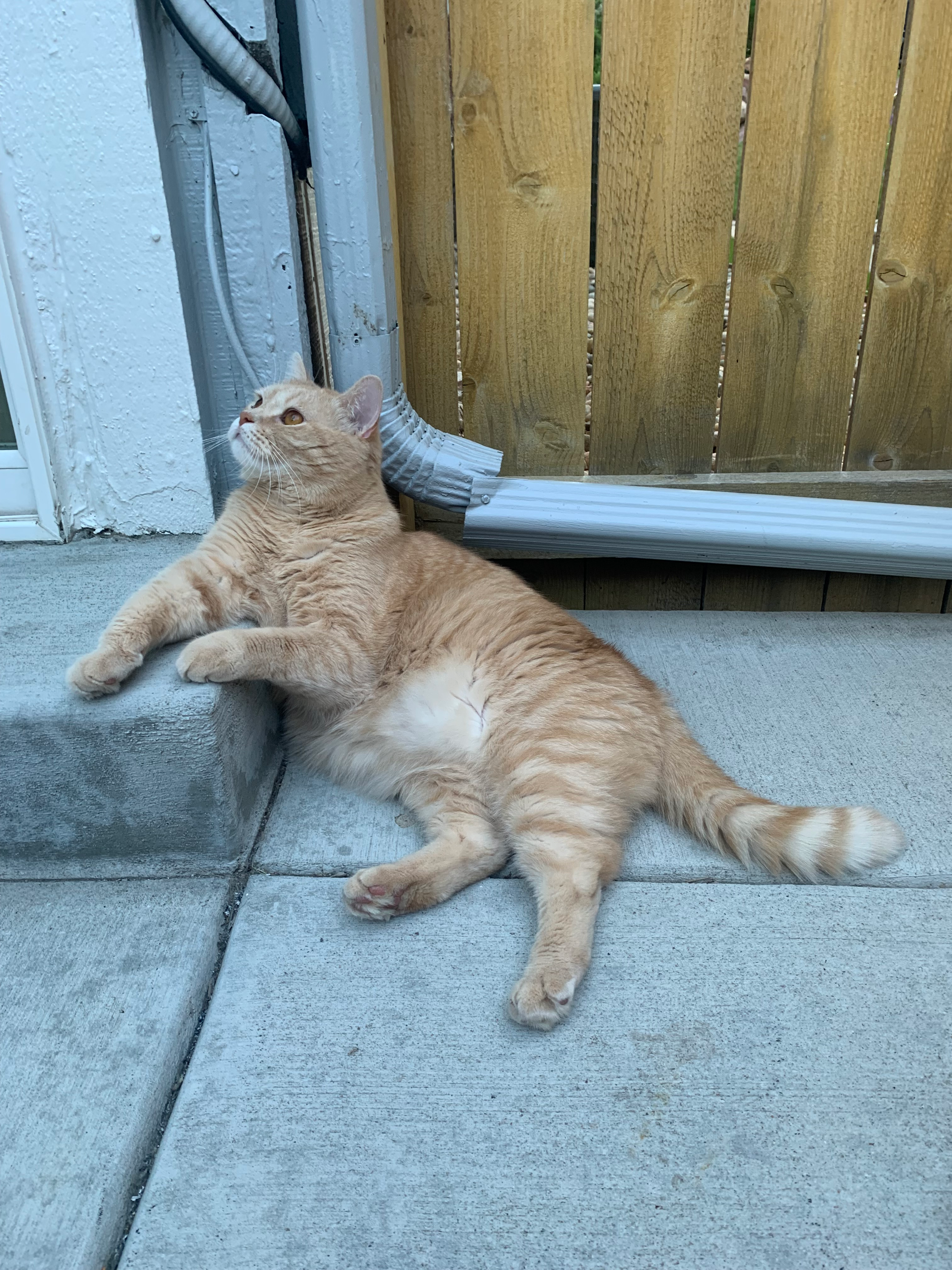 user avatar image for Curtis