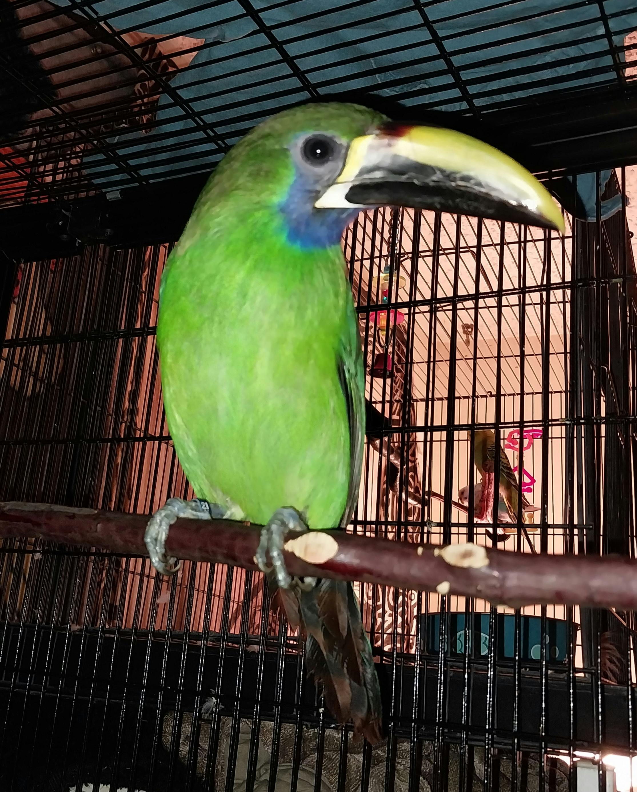 user avatar image for R.J. Burks