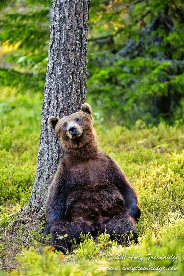 user avatar image for Edward F Harvey Jr