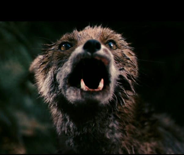 user avatar image for Michael