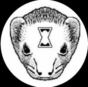 user avatar image for Jeromy Foberg