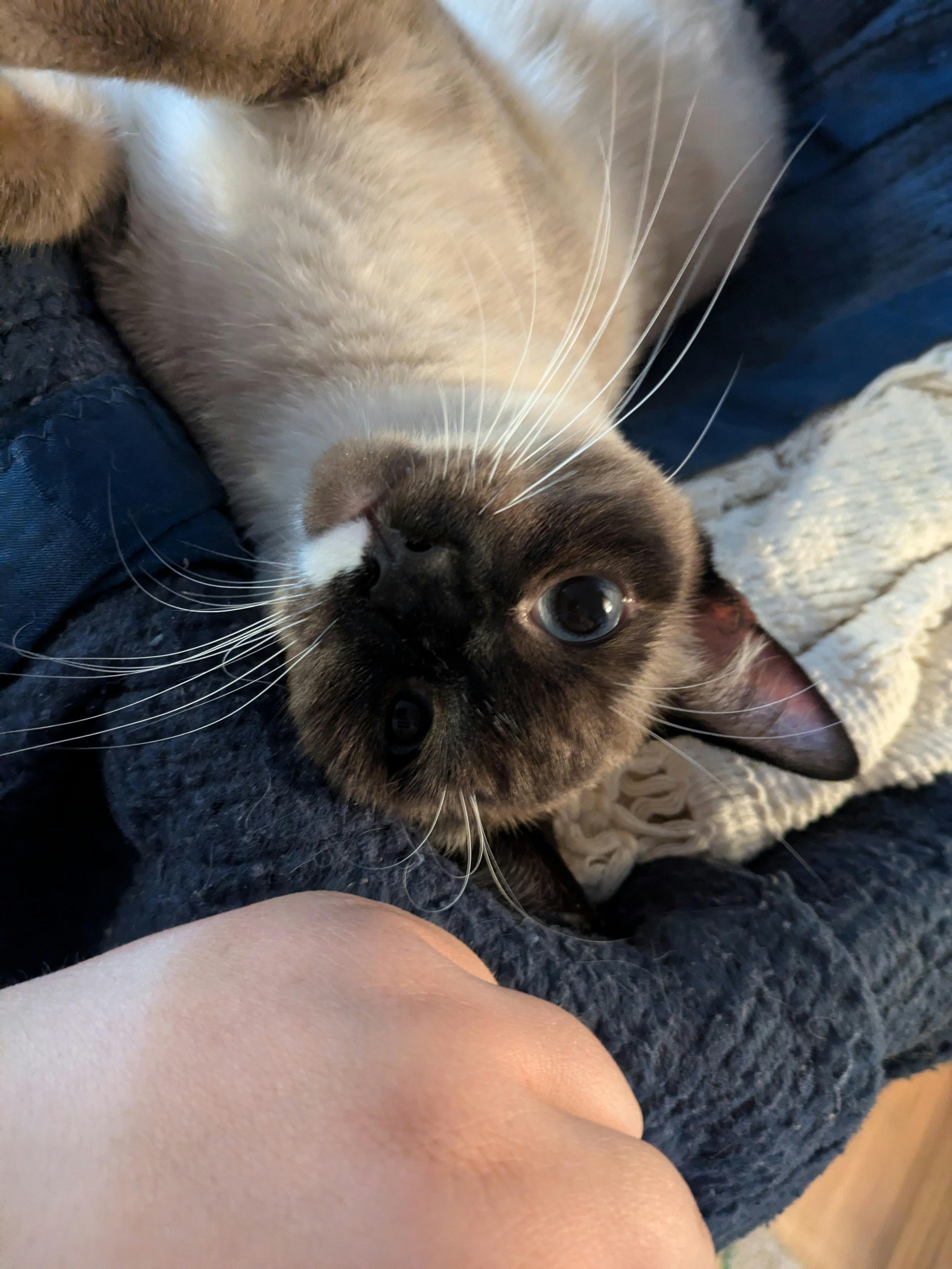 user avatar image for Sarah