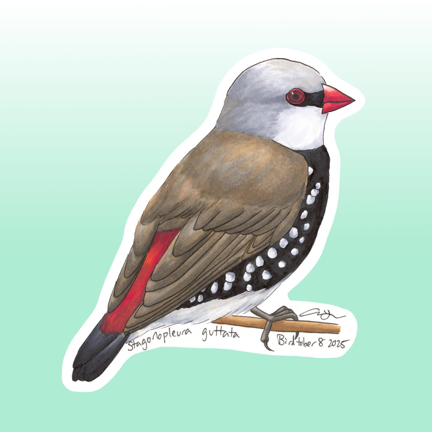 Diamond Firetail