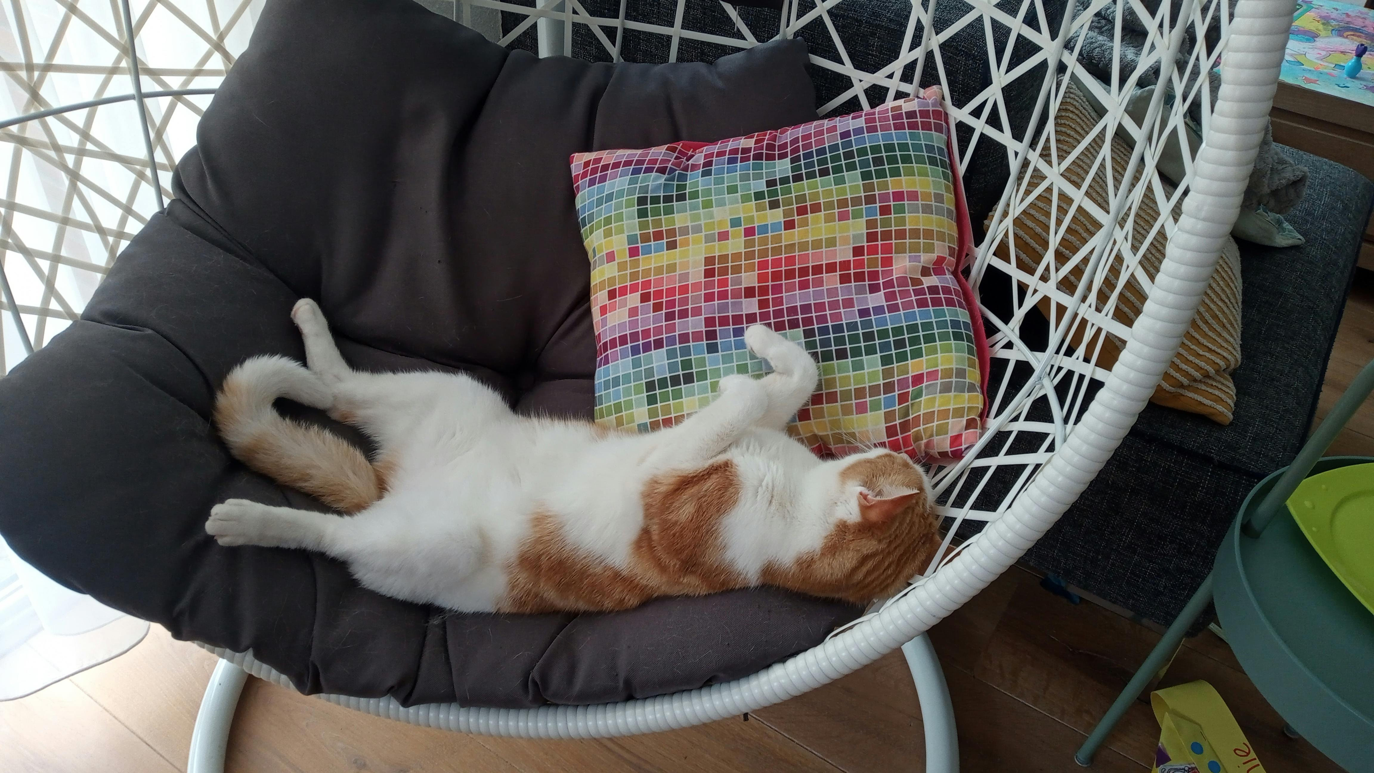 user avatar image for Martijn K