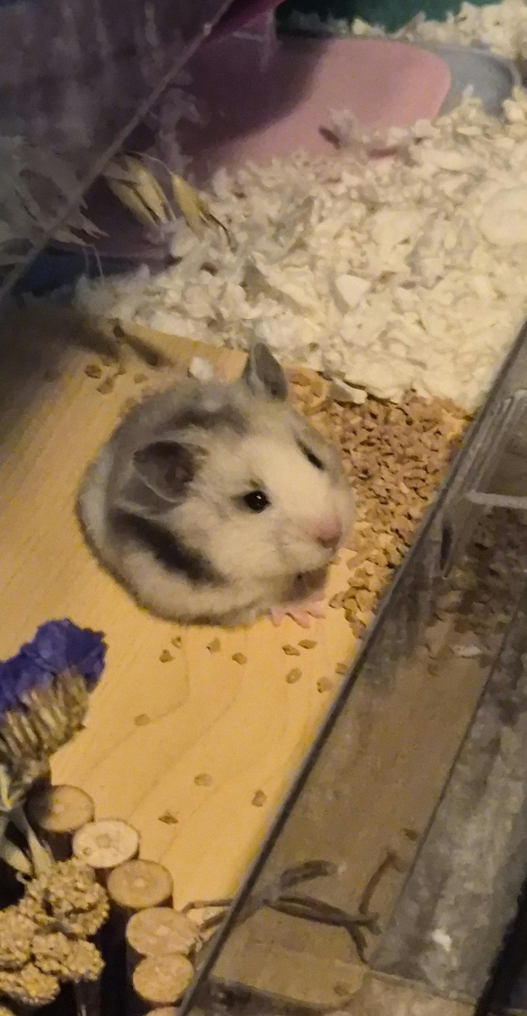 user avatar image for Jenny Rubalcaba 