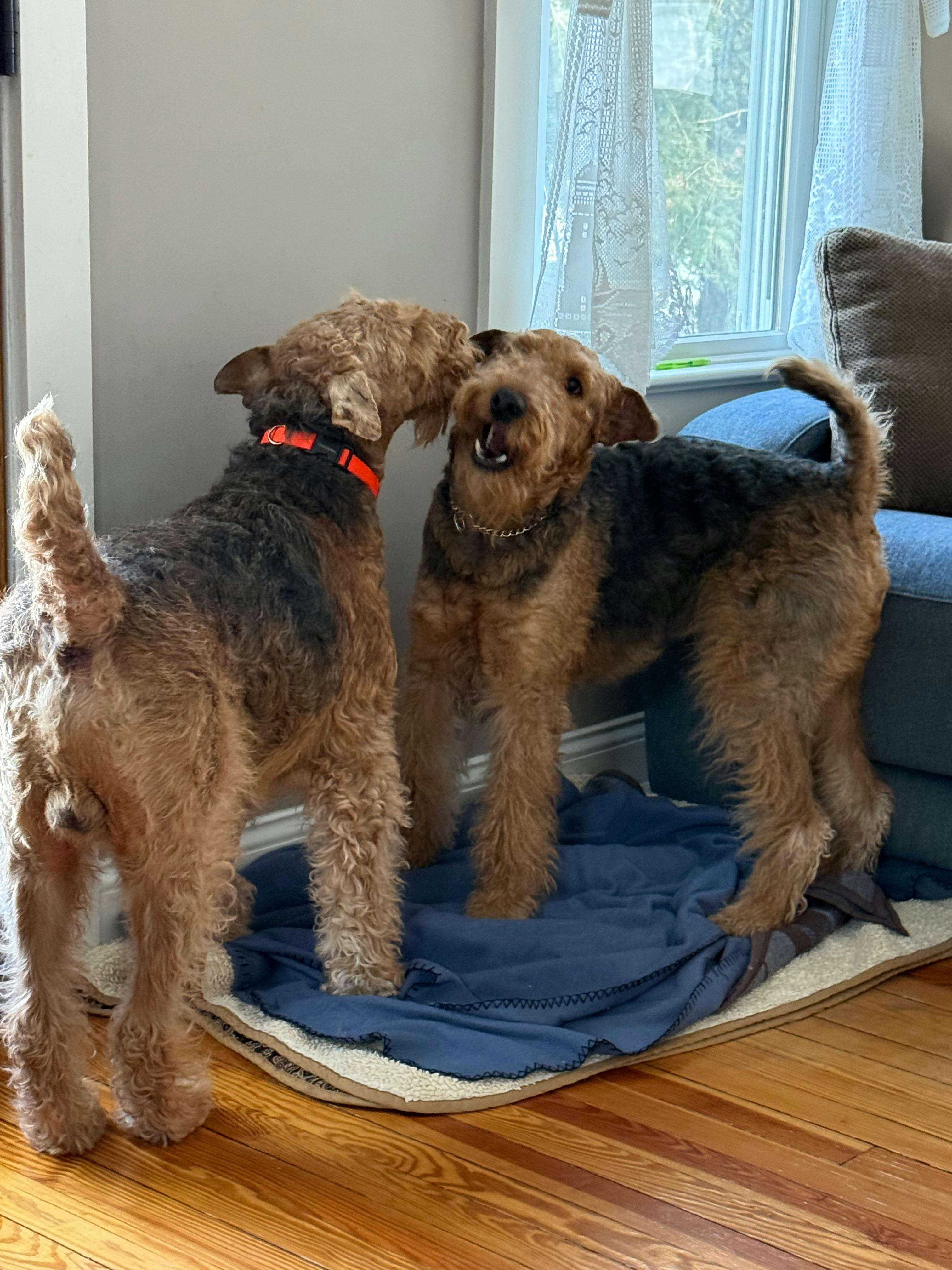 user avatar image for Shawn Bozarth