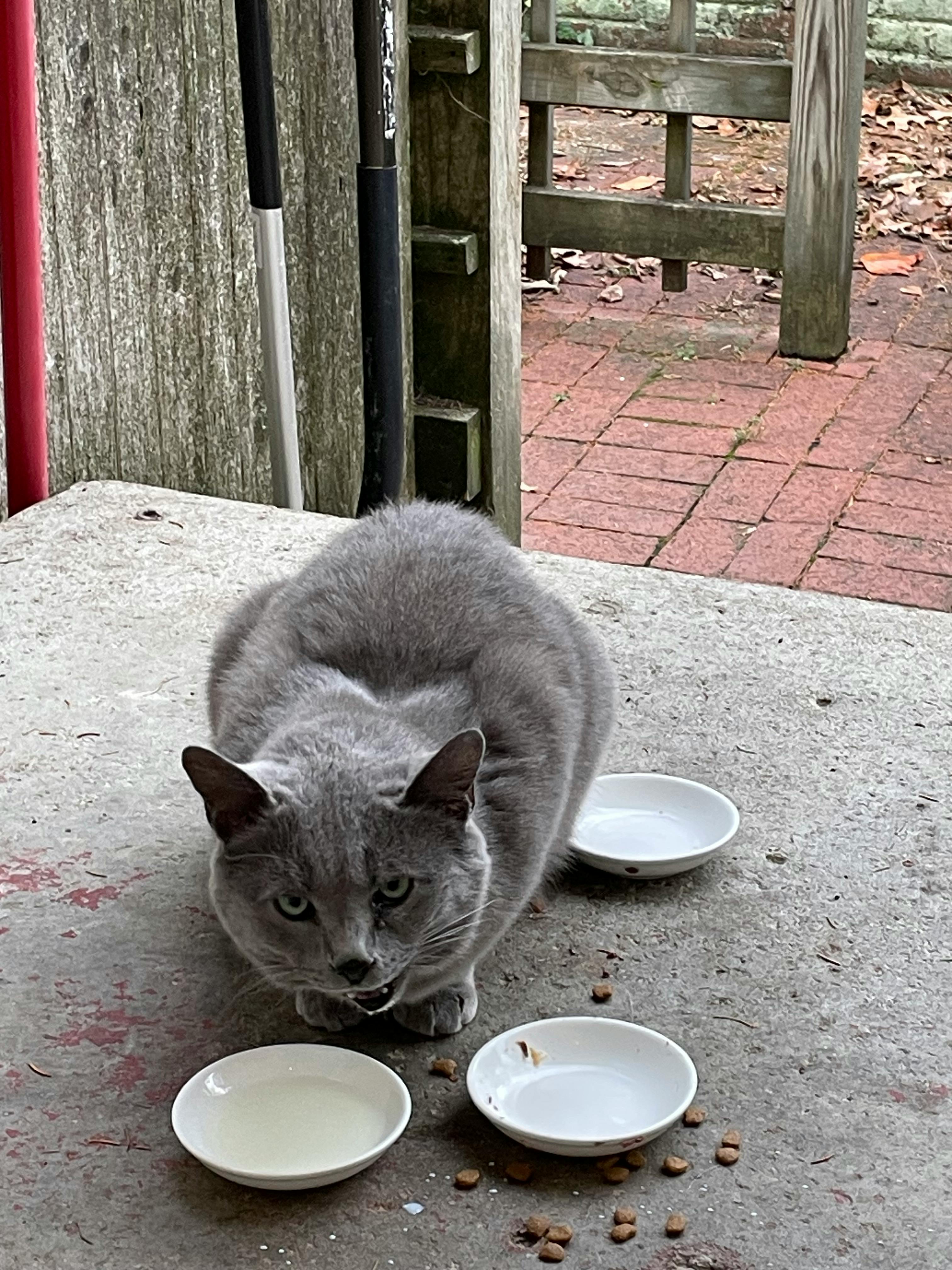 user avatar image for Stephen Turk