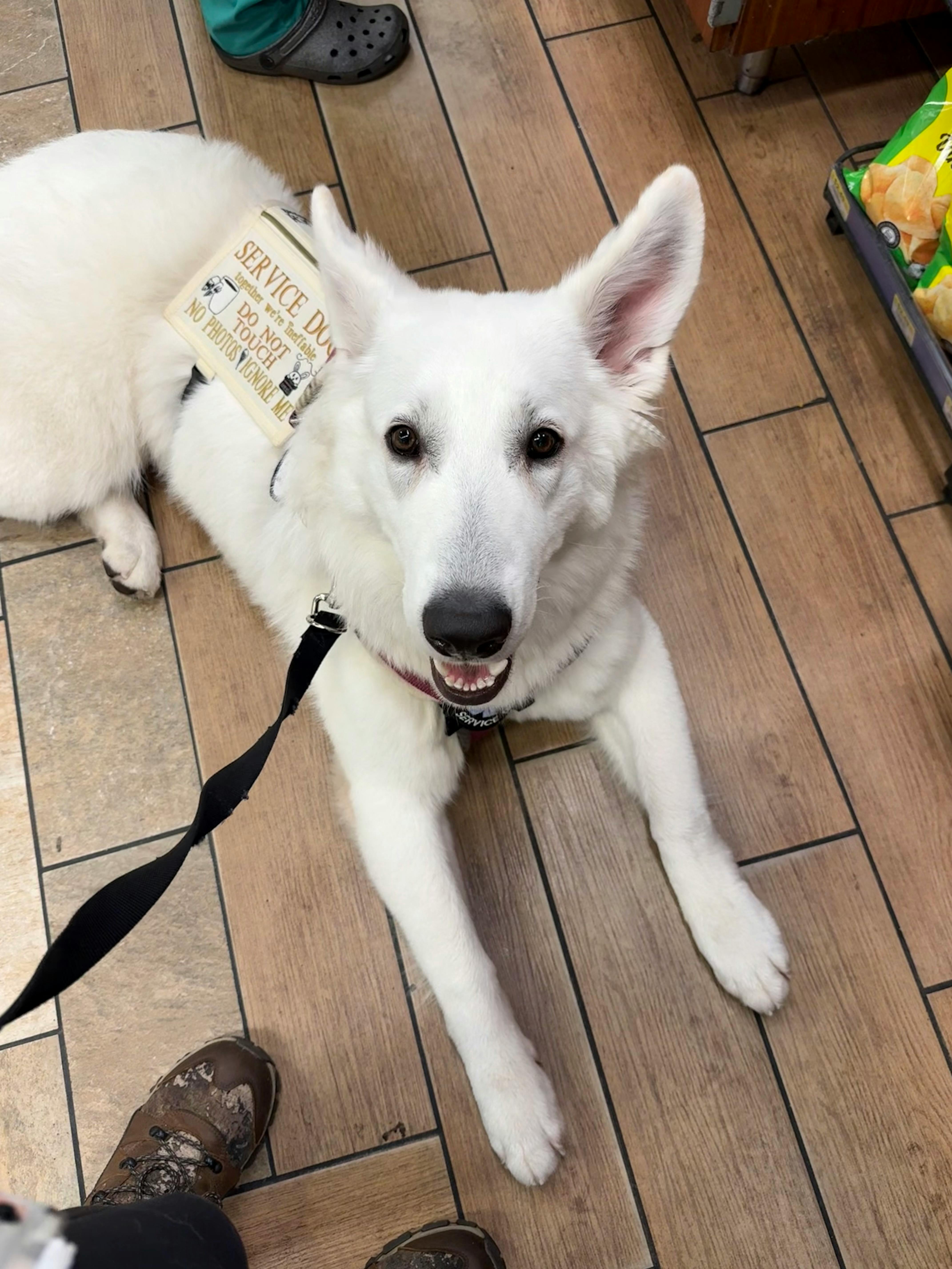 user avatar image for Aegon.Conqueror.Pup