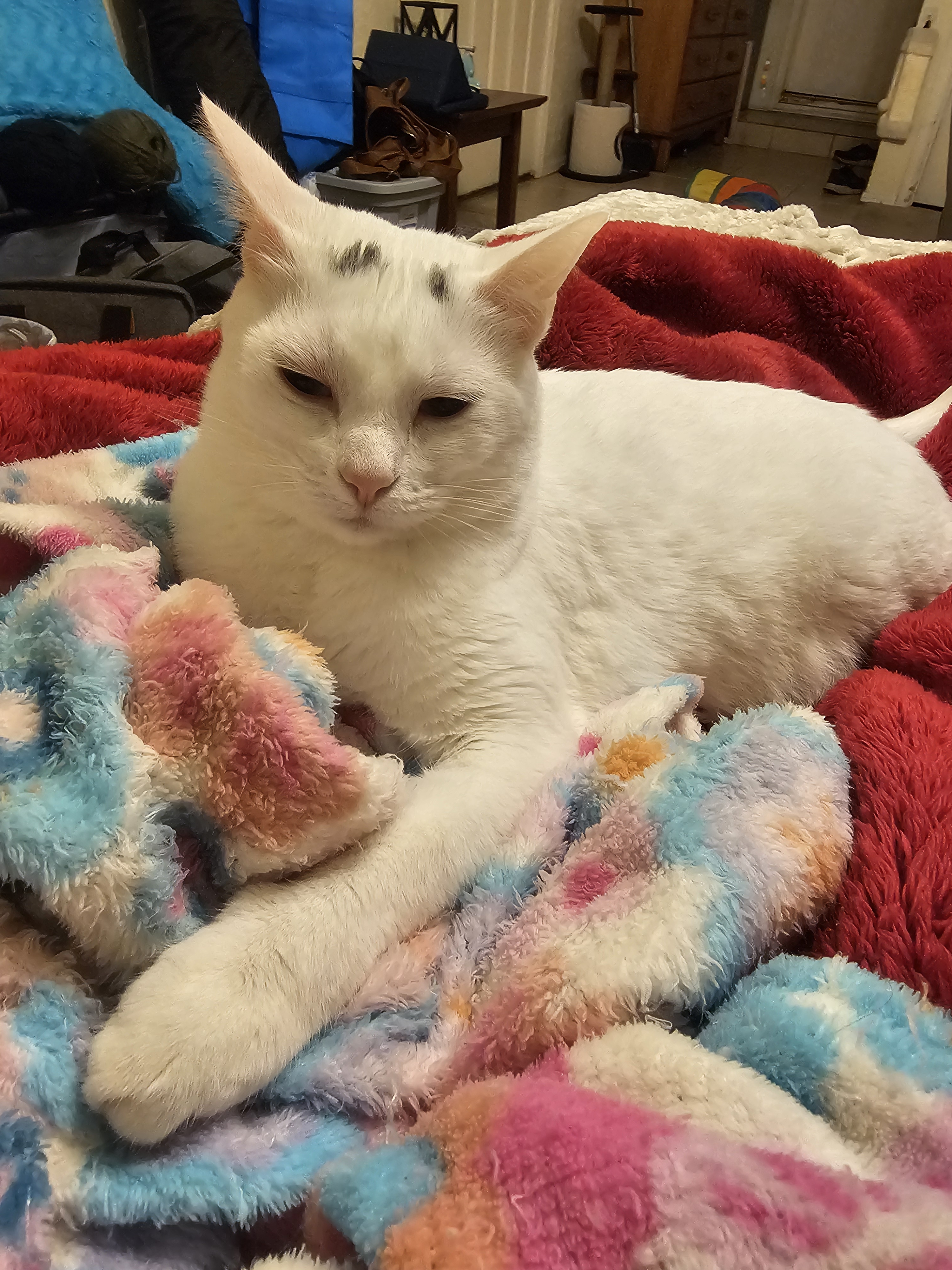 user avatar image for Mary Santiago 