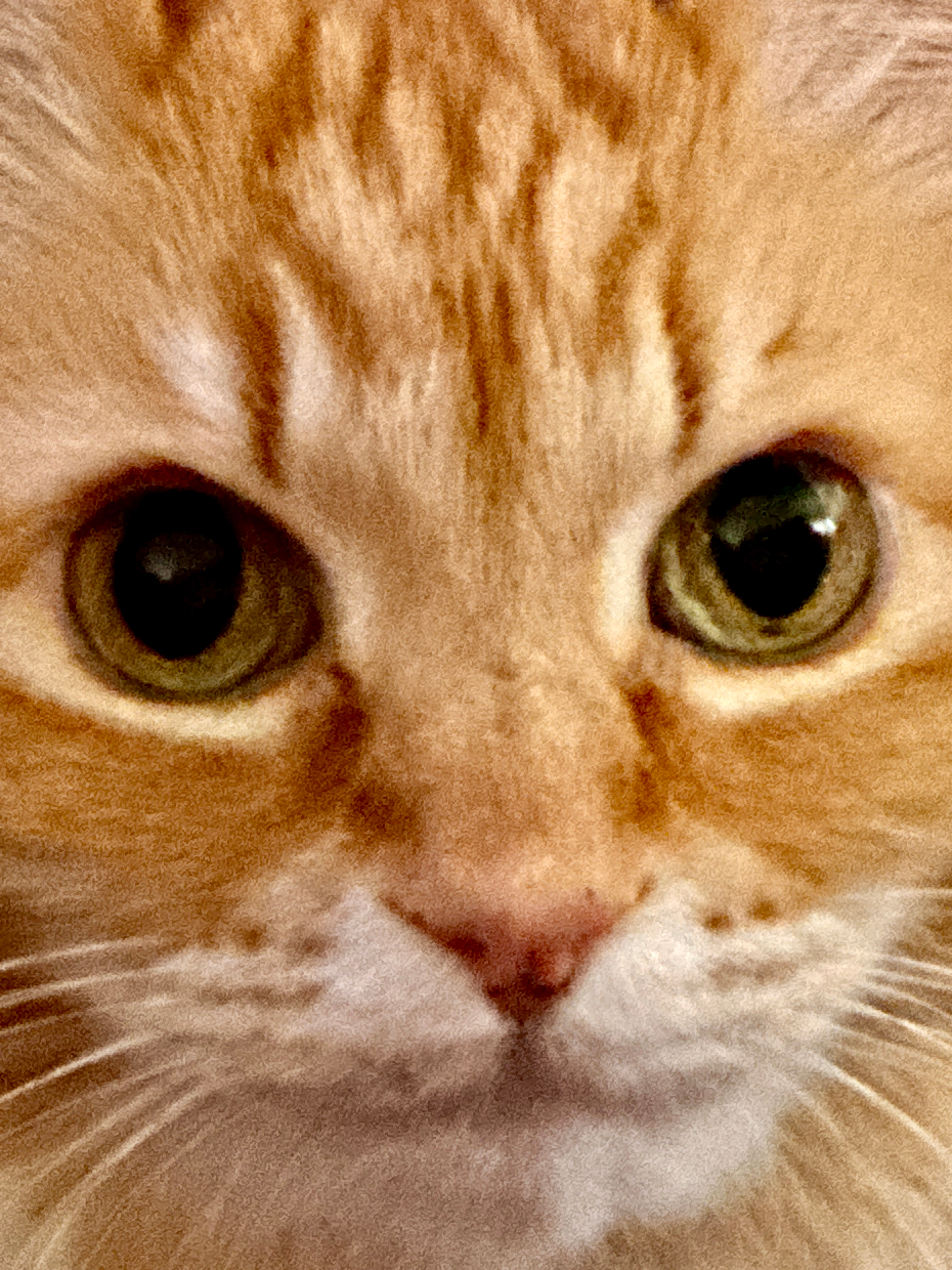 user avatar image for Jaycie