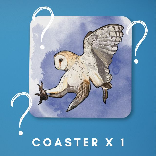Coaster