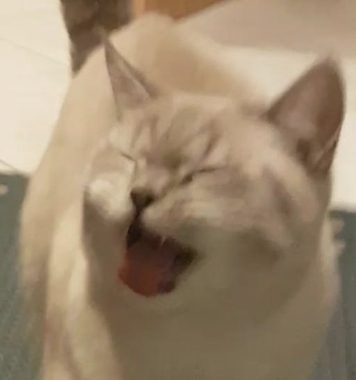 user avatar image for PawTrap