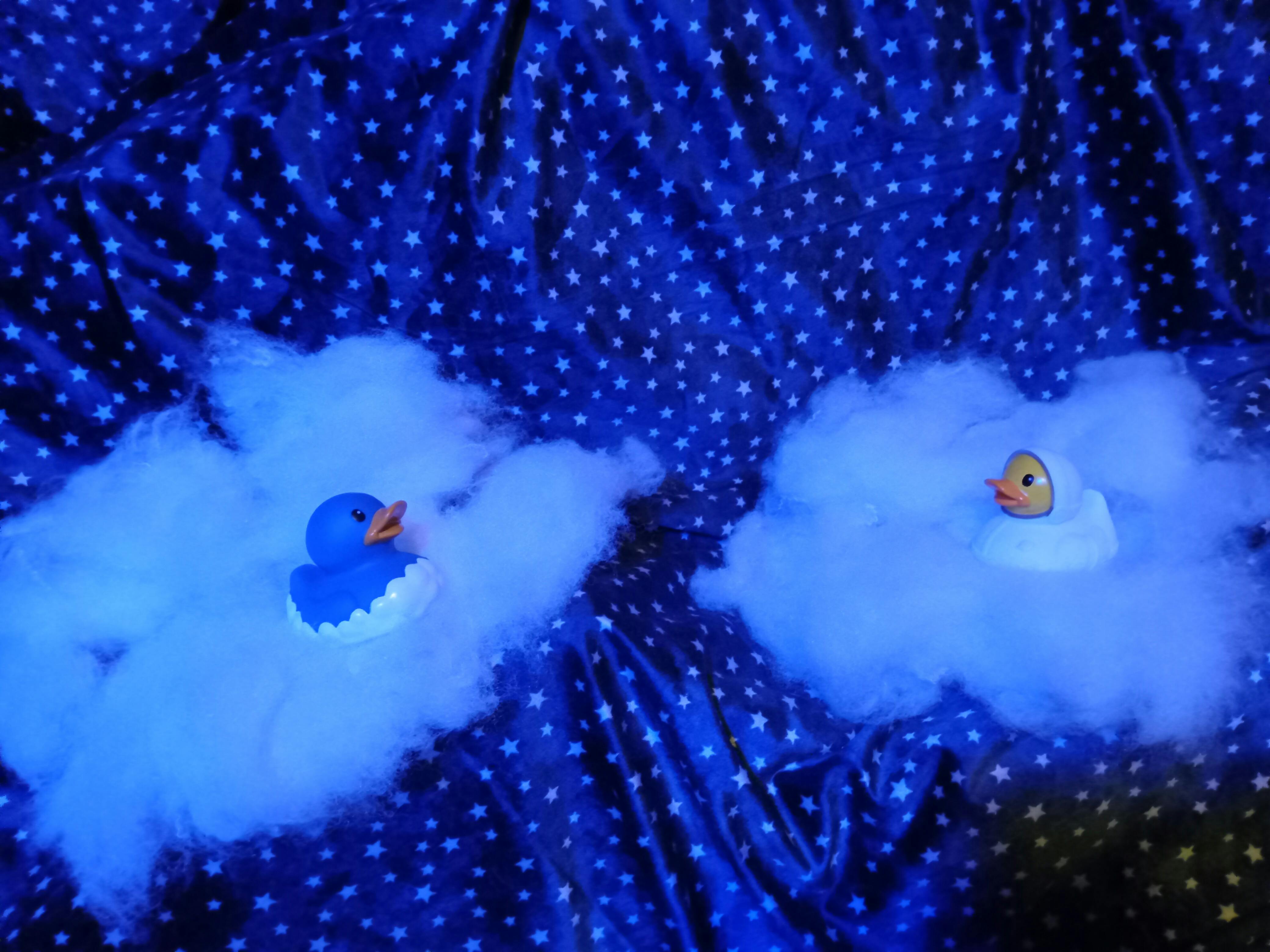 user avatar image for Nova