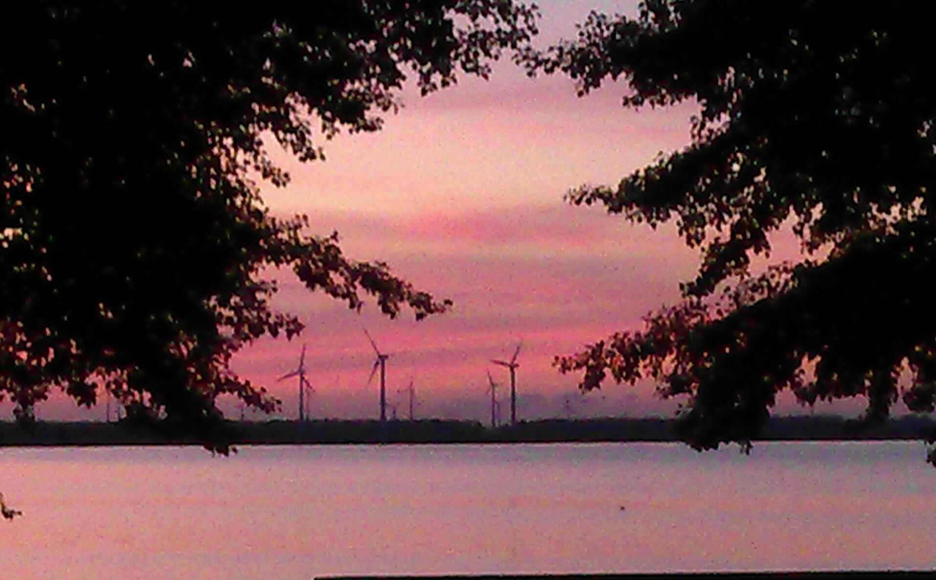 user avatar image for MoiGirl