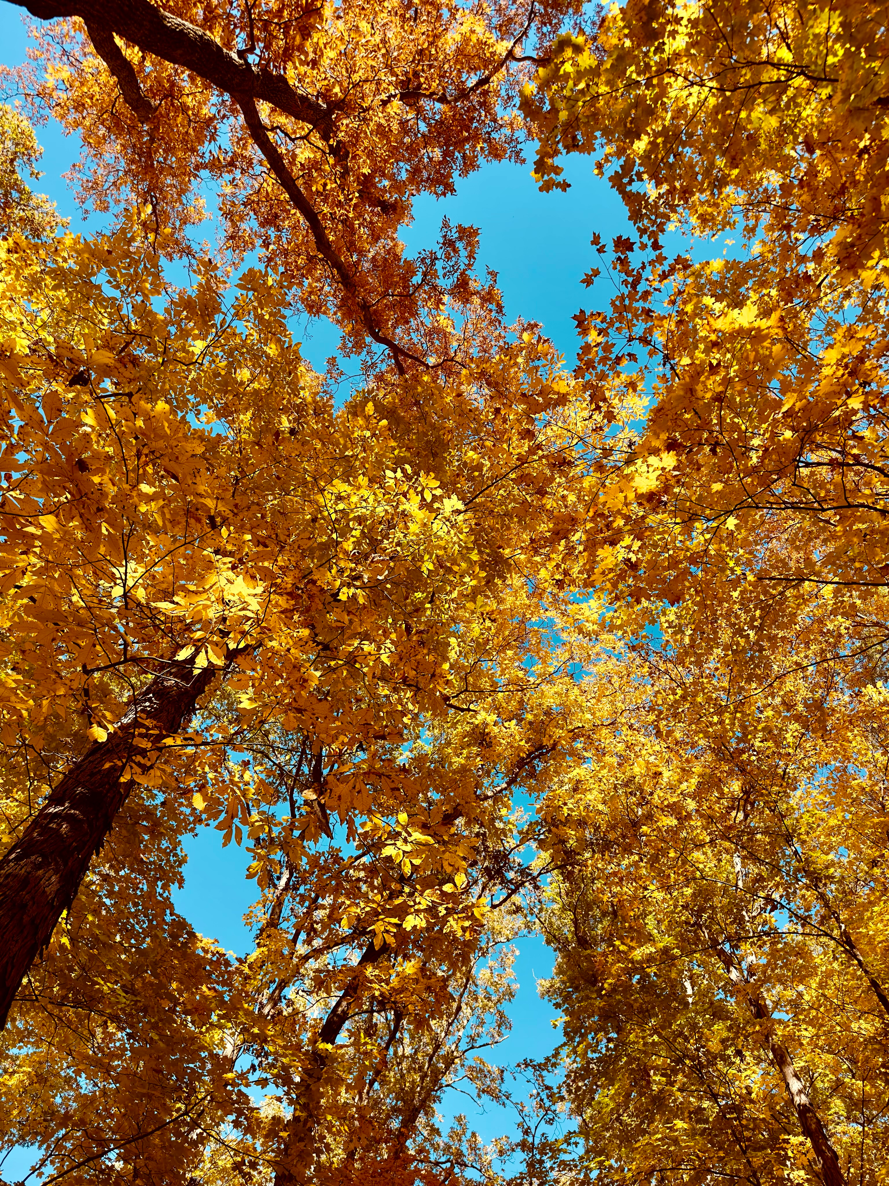 user avatar image for Peter Barnes