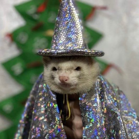 user avatar image for ocean