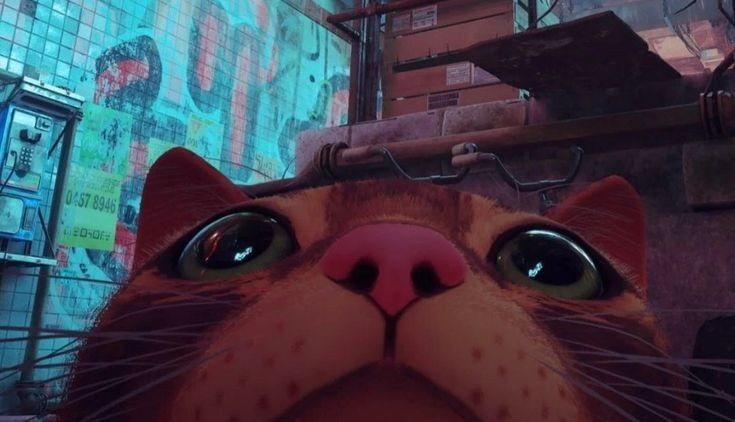 user avatar image for Harley Zierenberg 