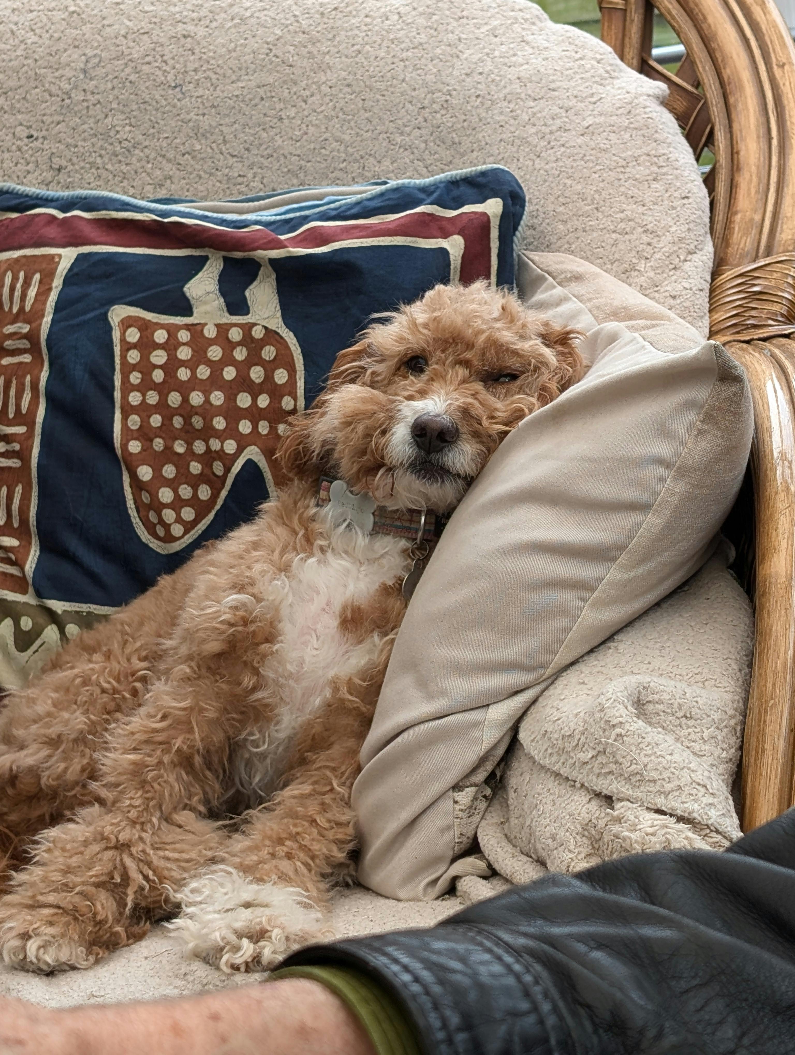 user avatar image for Eben