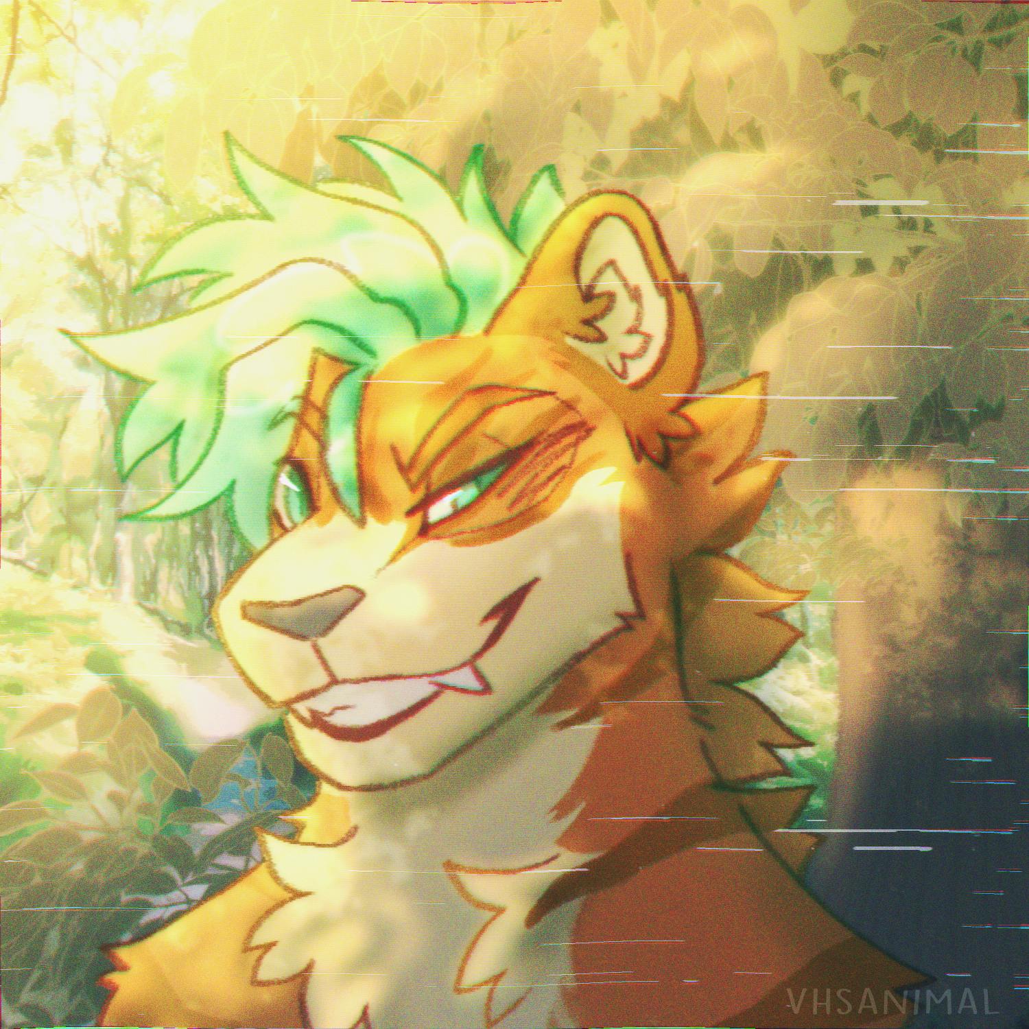 user avatar image for Mimmsy Gayle