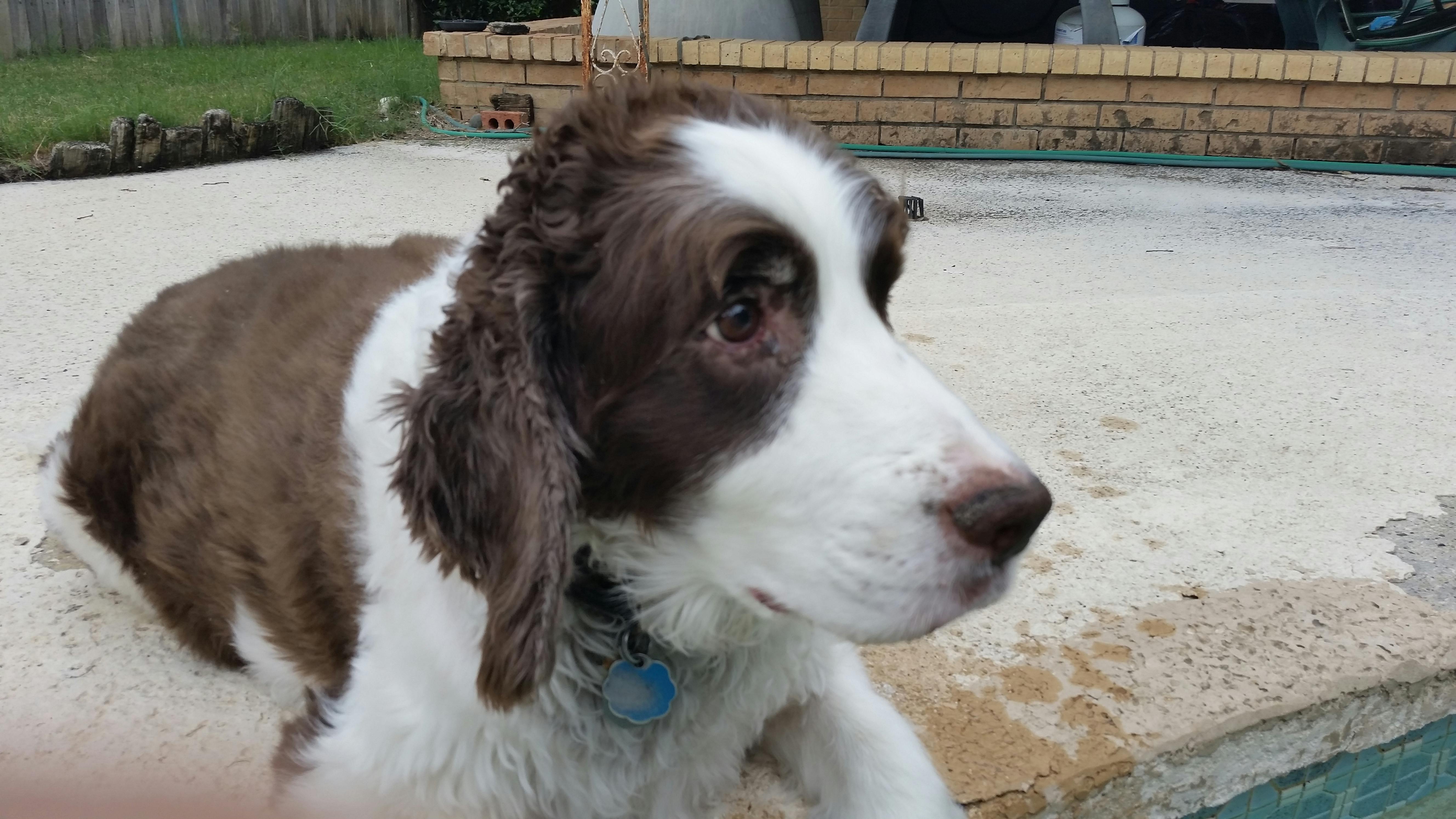 user avatar image for Christopher Stuart Lackey Smith