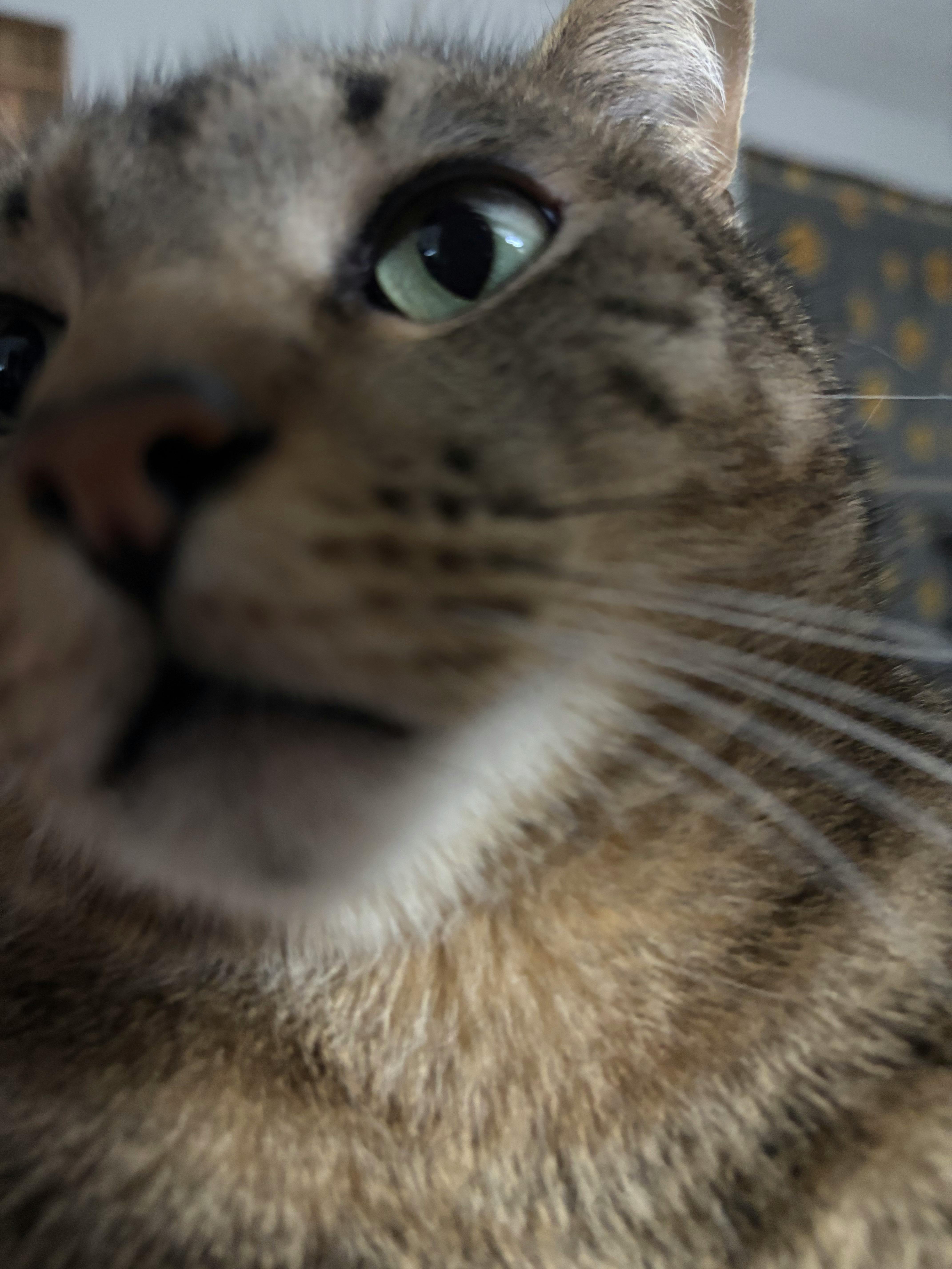 user avatar image for Jessica