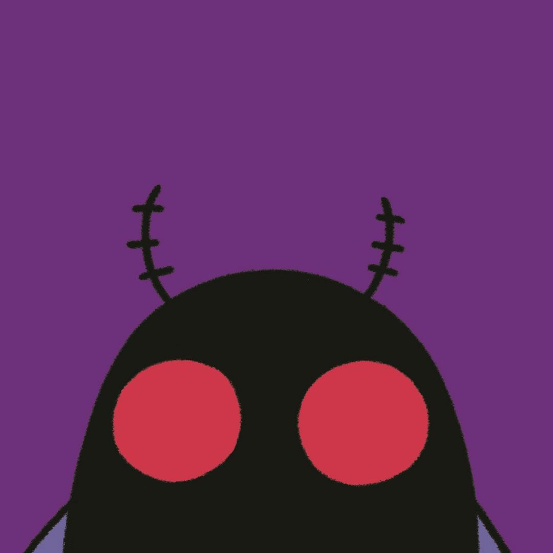 user avatar image for Shady