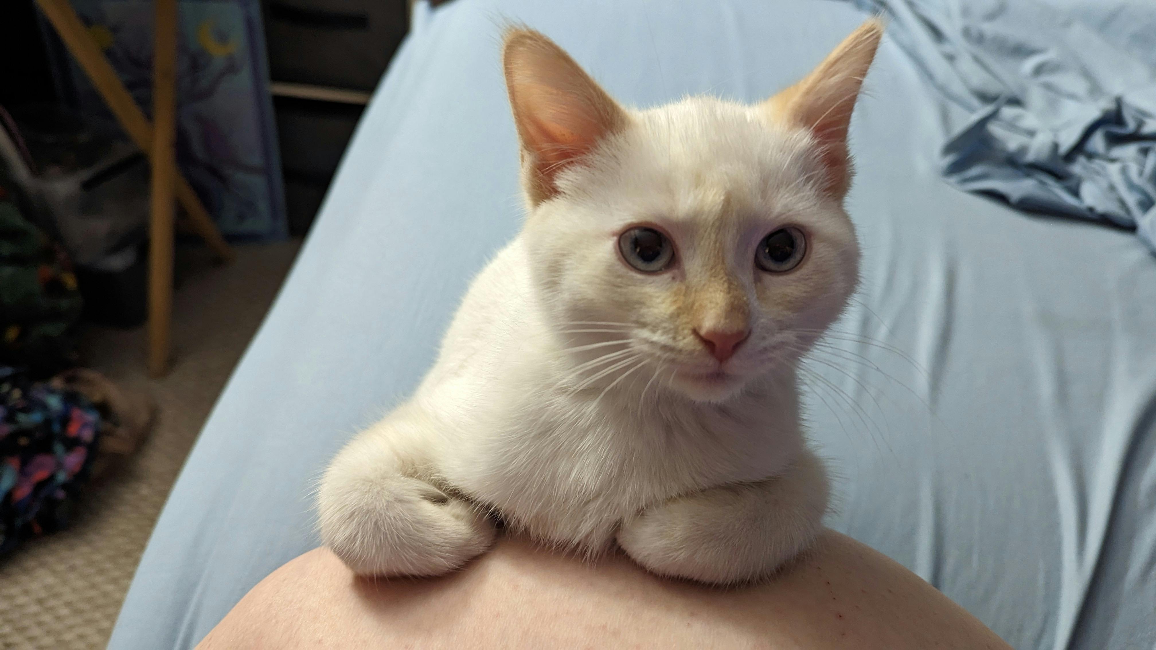 user avatar image for L Panzarella