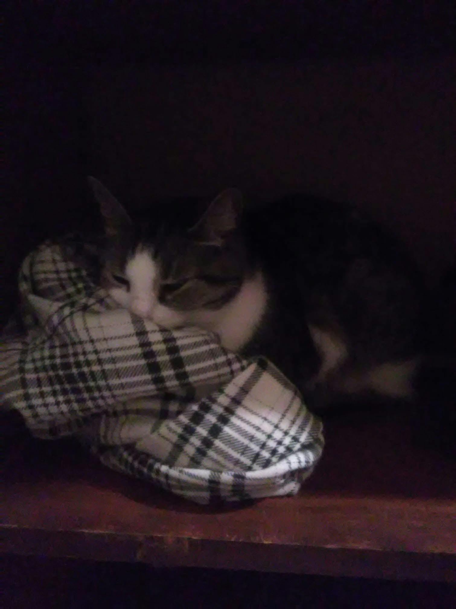 user avatar image for Melinique