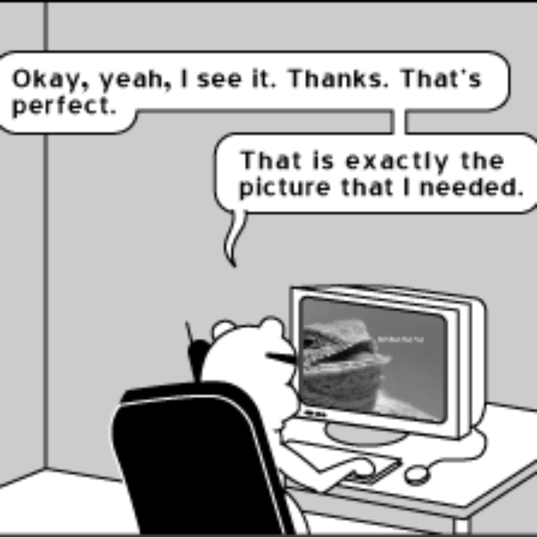 user avatar image for Craig Spiers