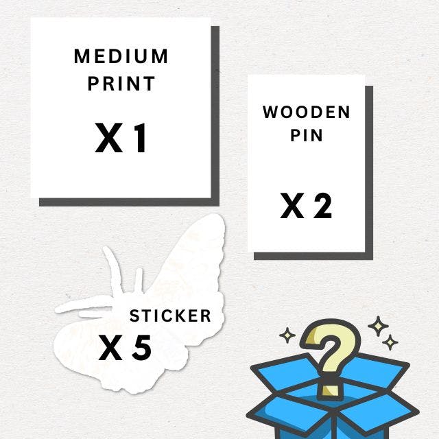 Medium Mystery Bundle