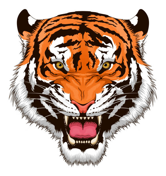 user avatar image for Tony Strongman